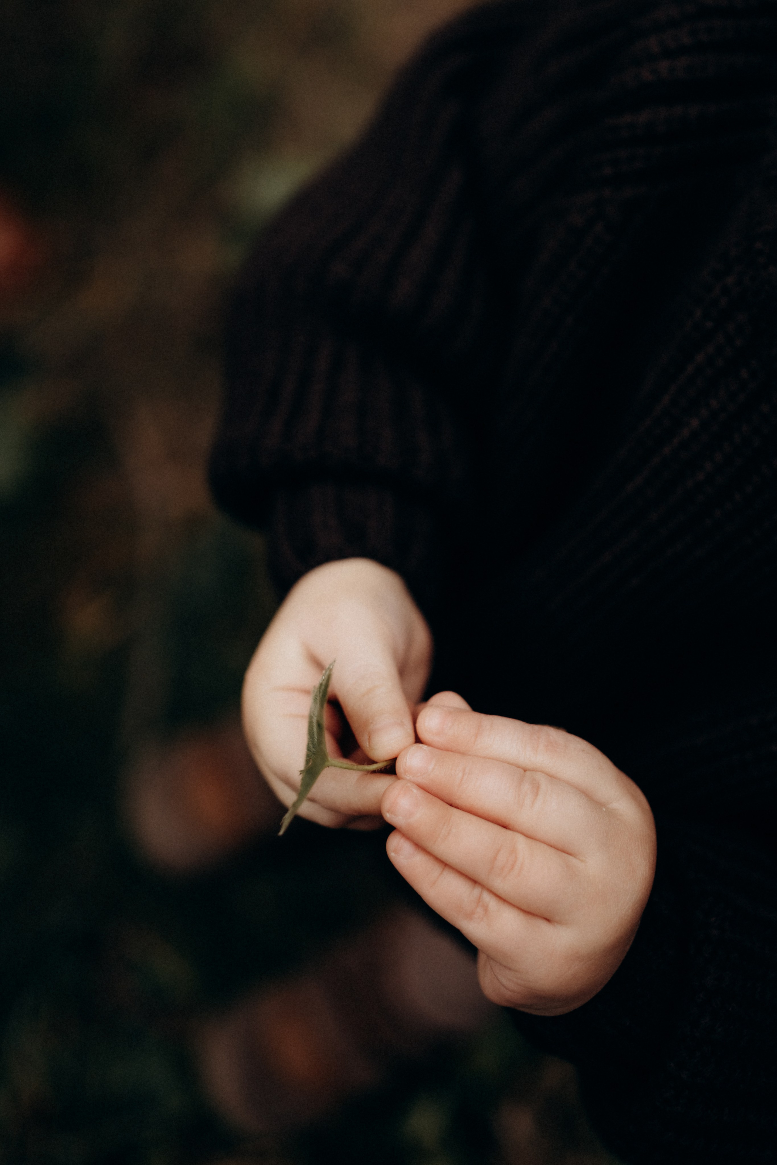 Серия для Анастасии, Осень, Урал. Фотограф Перевозкина Анна
