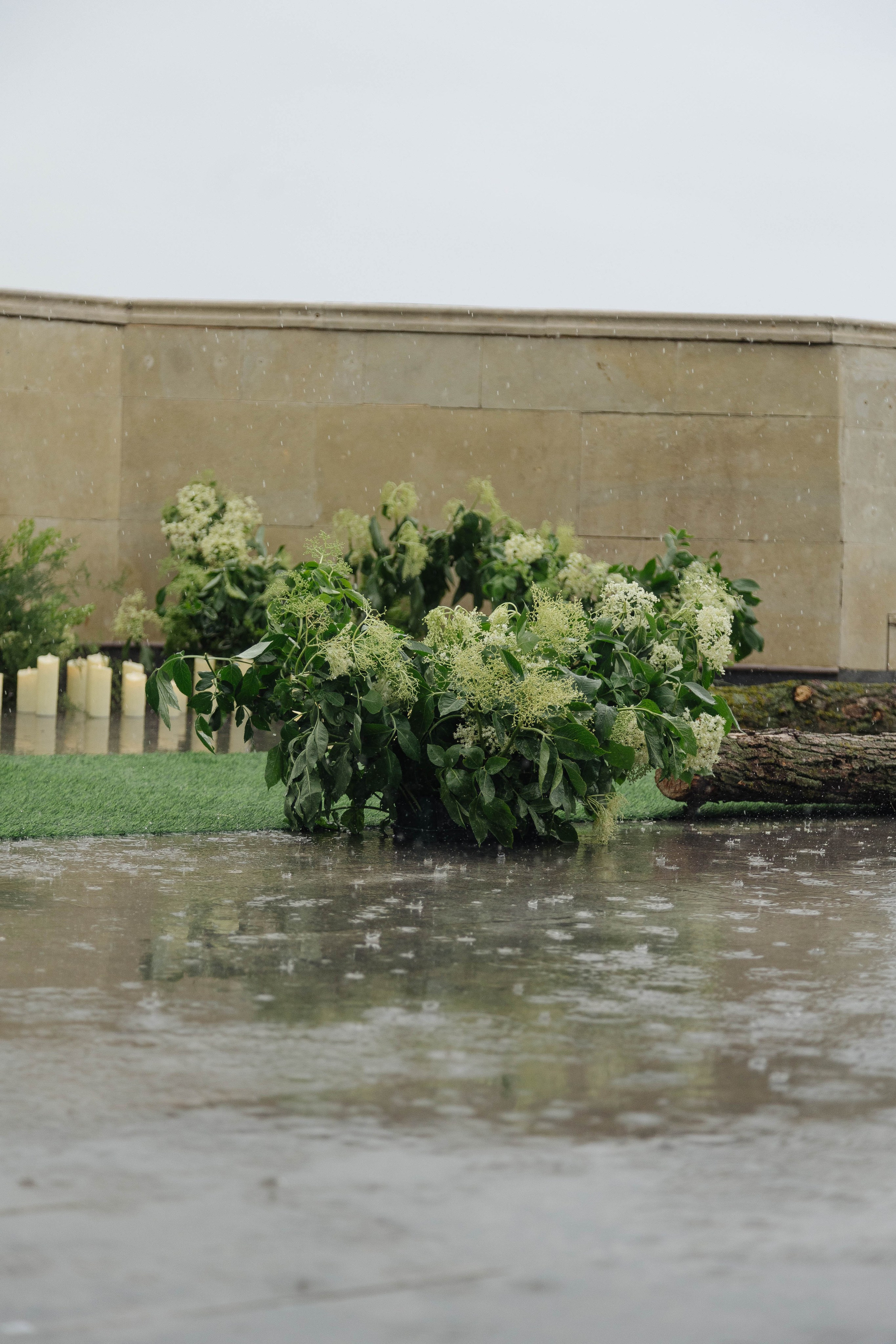 Дмитрий & Мишель. Свадебный фотограф ростов