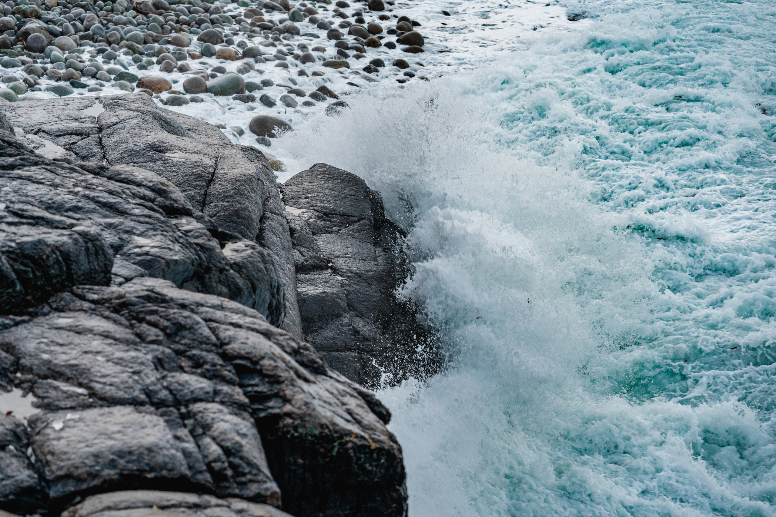 СТРИТ И ПРИРОДА. Репортажный фотограф Наталья Лапцевич