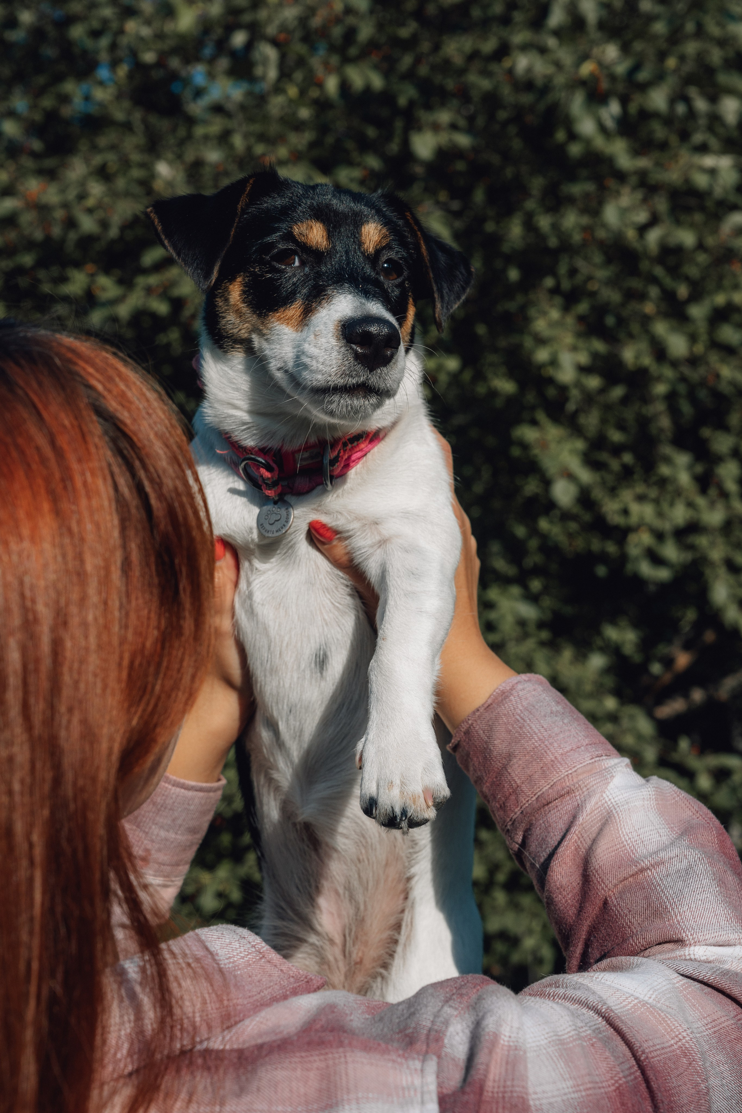 Аня и Луна. Фотограф и видеограф в Тюмени Екатерина Чернецкая