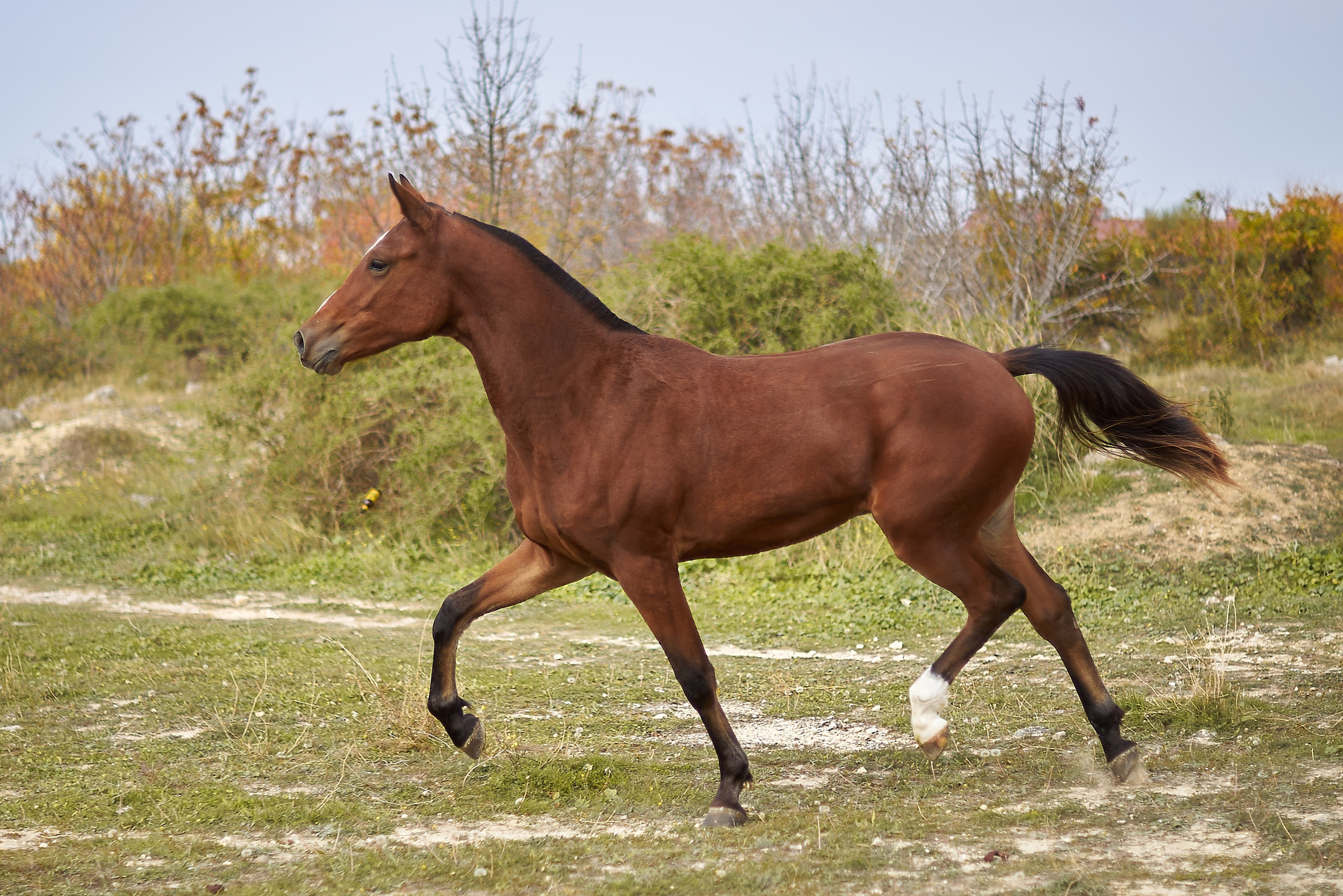 Роня. Фотограф в Севастополе