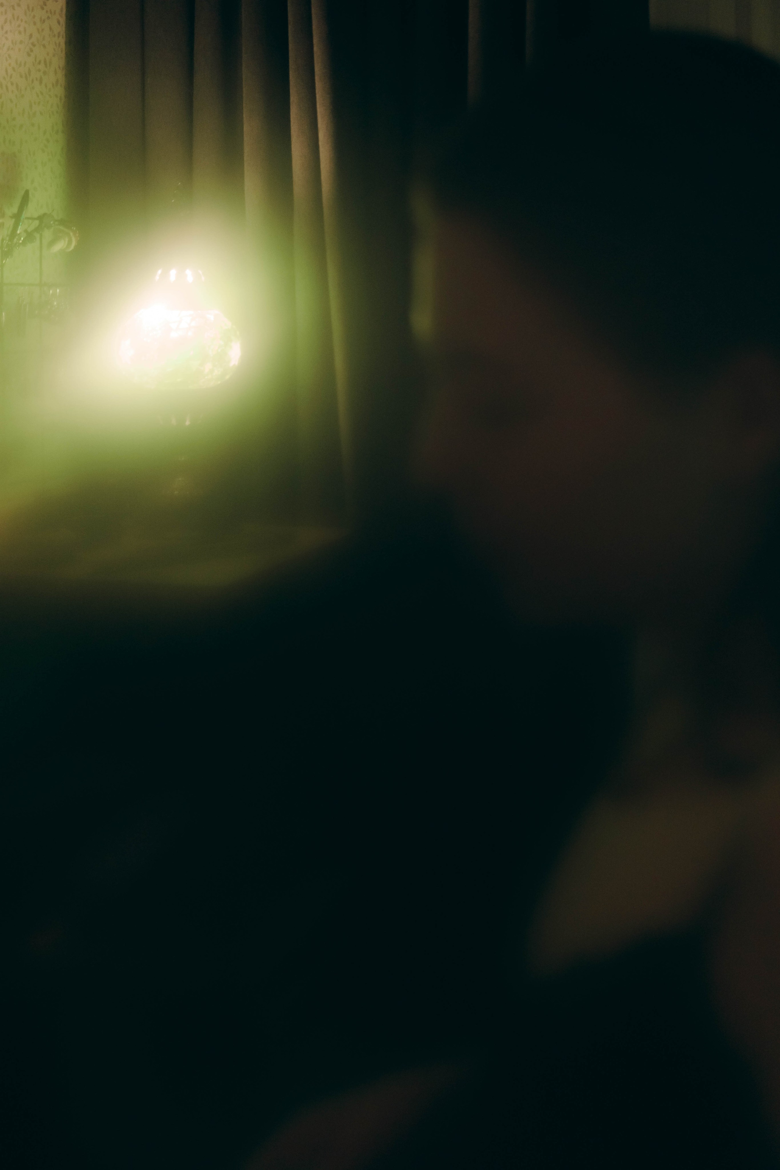 Милена. Фотограф-анималист Ксения Воробьева, Москва