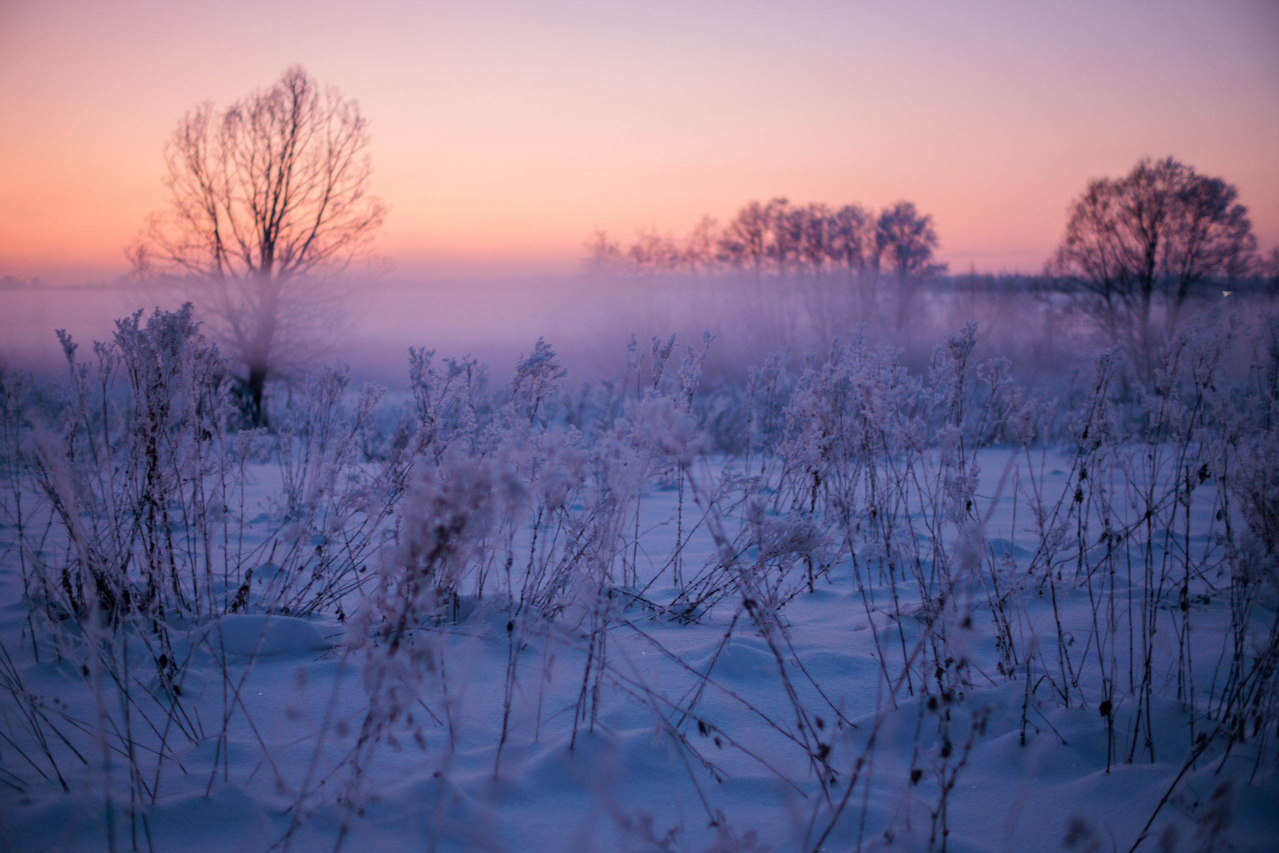 Пейзаж (вич рн) Закат. Владимир Петухов — фотограф в г. Кинешма. Оператор FPV