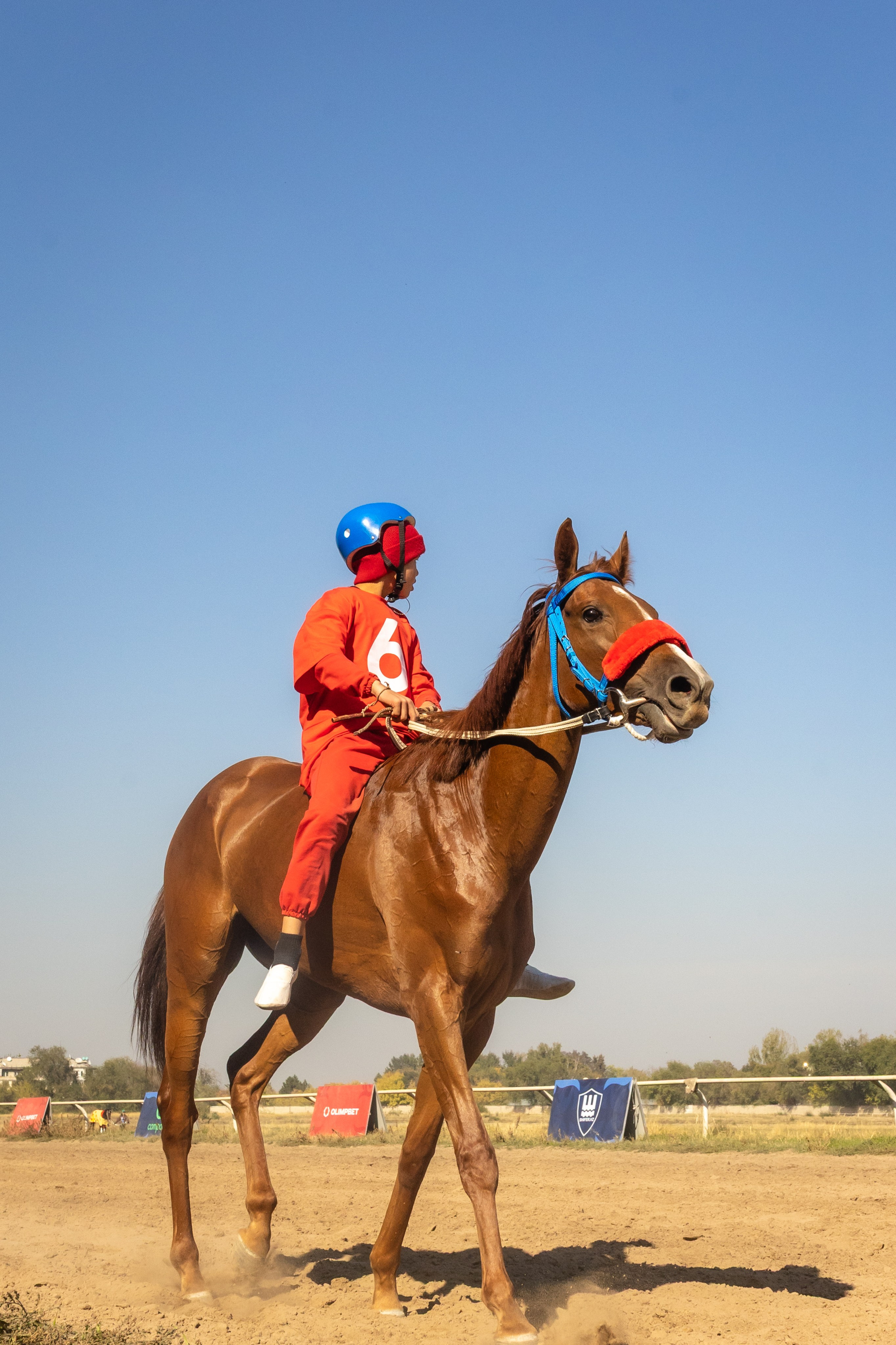 Фоторепортаж финал Казахстана по байге 2025 — конные забеги. Коммерческий и репортажный фотограф в Алматы — Jora Abramov