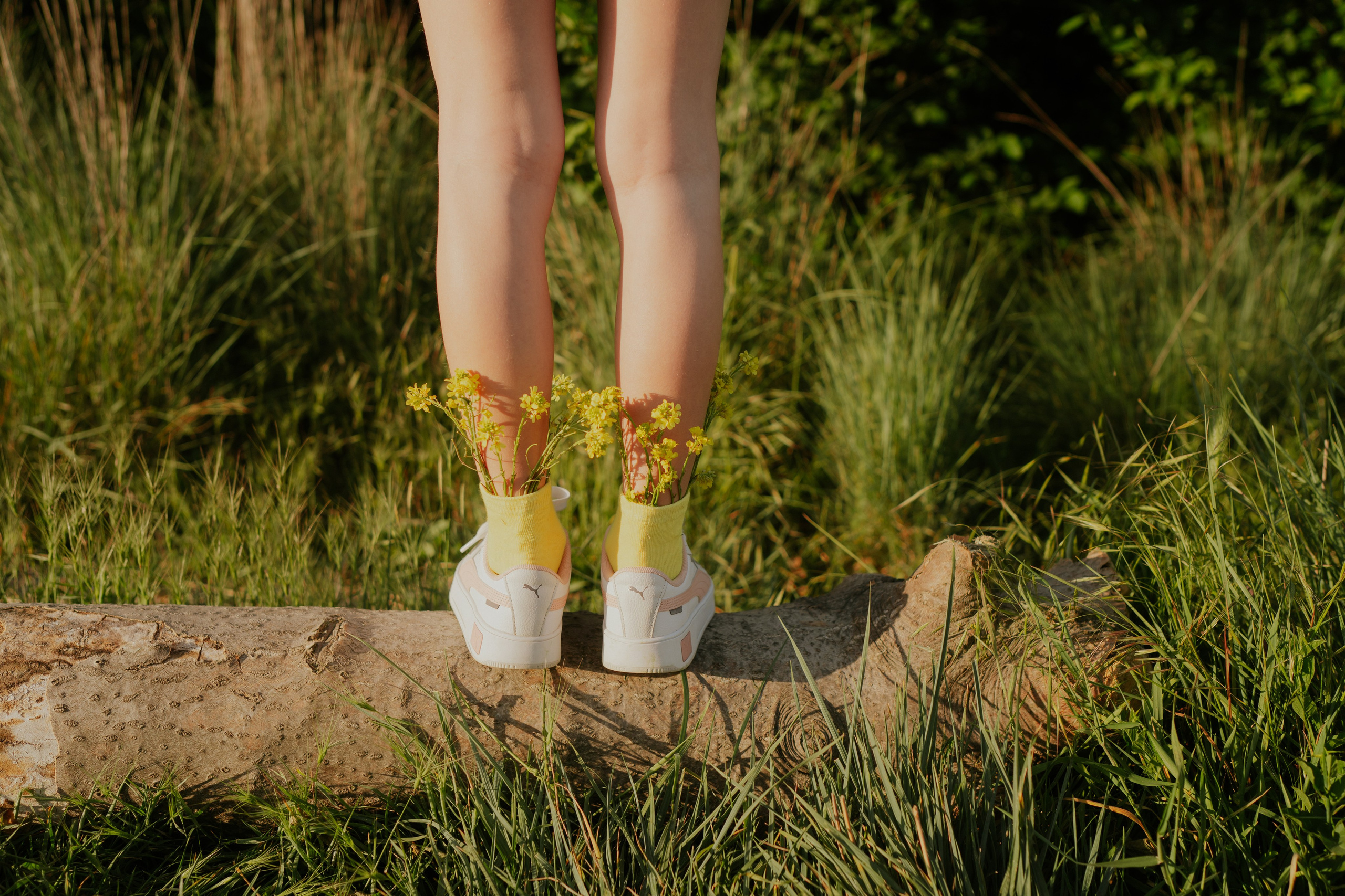 Семейные. Елена Луковская. Семейная, портретная, репоражная съёмка