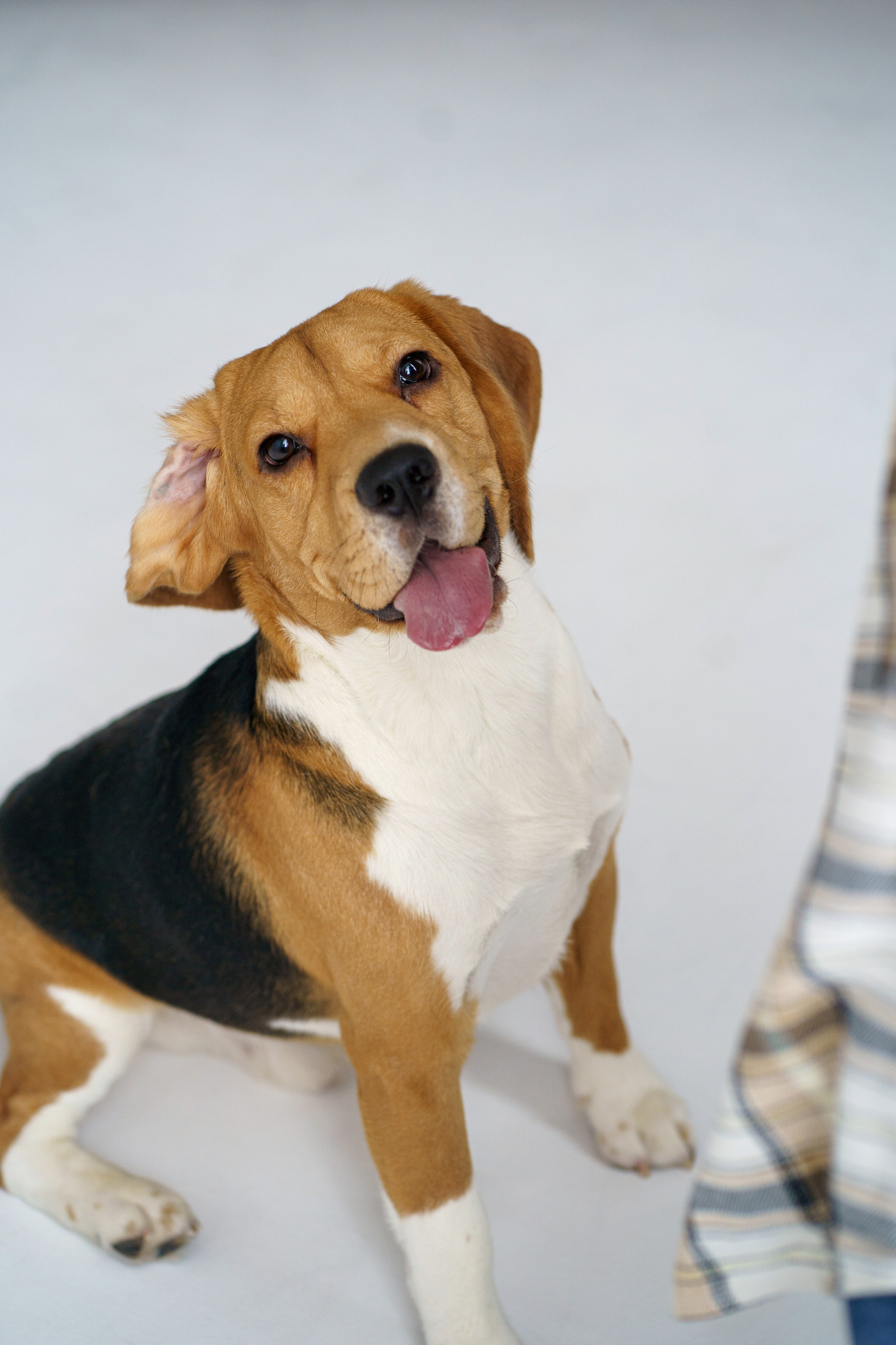 Настя&Лера. Главная