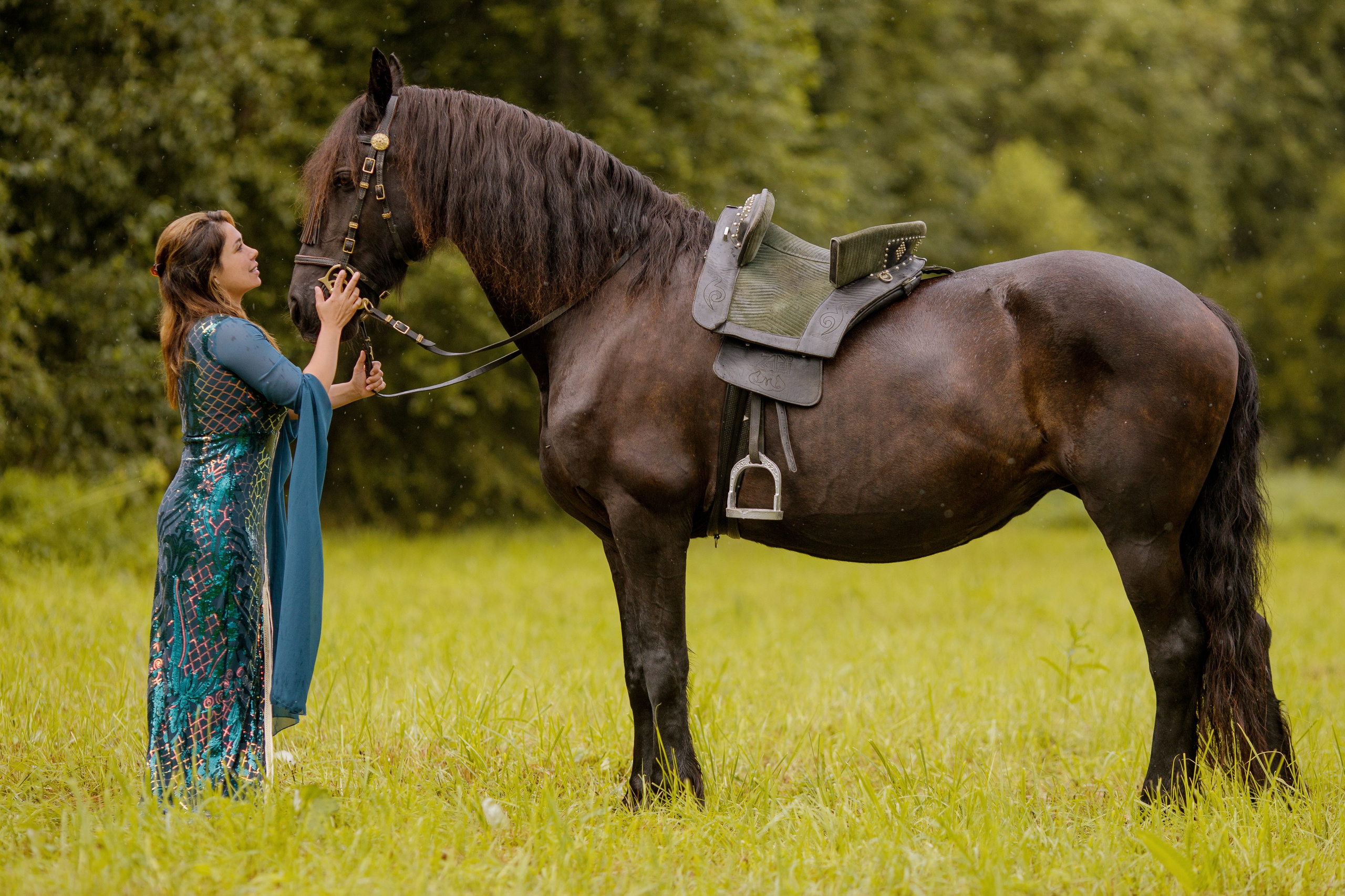 Кори и фризская кобыла Тинэке