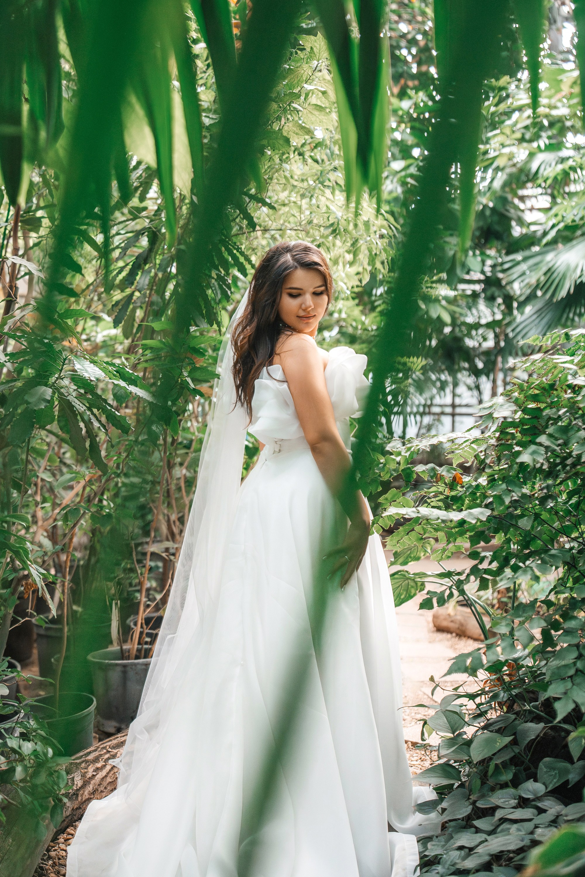 Свадебная фотосессия в оранжерее Ботанического сада им. Цицина. Свадебный и репортажный фотограф-видеограф Москва и Московская область