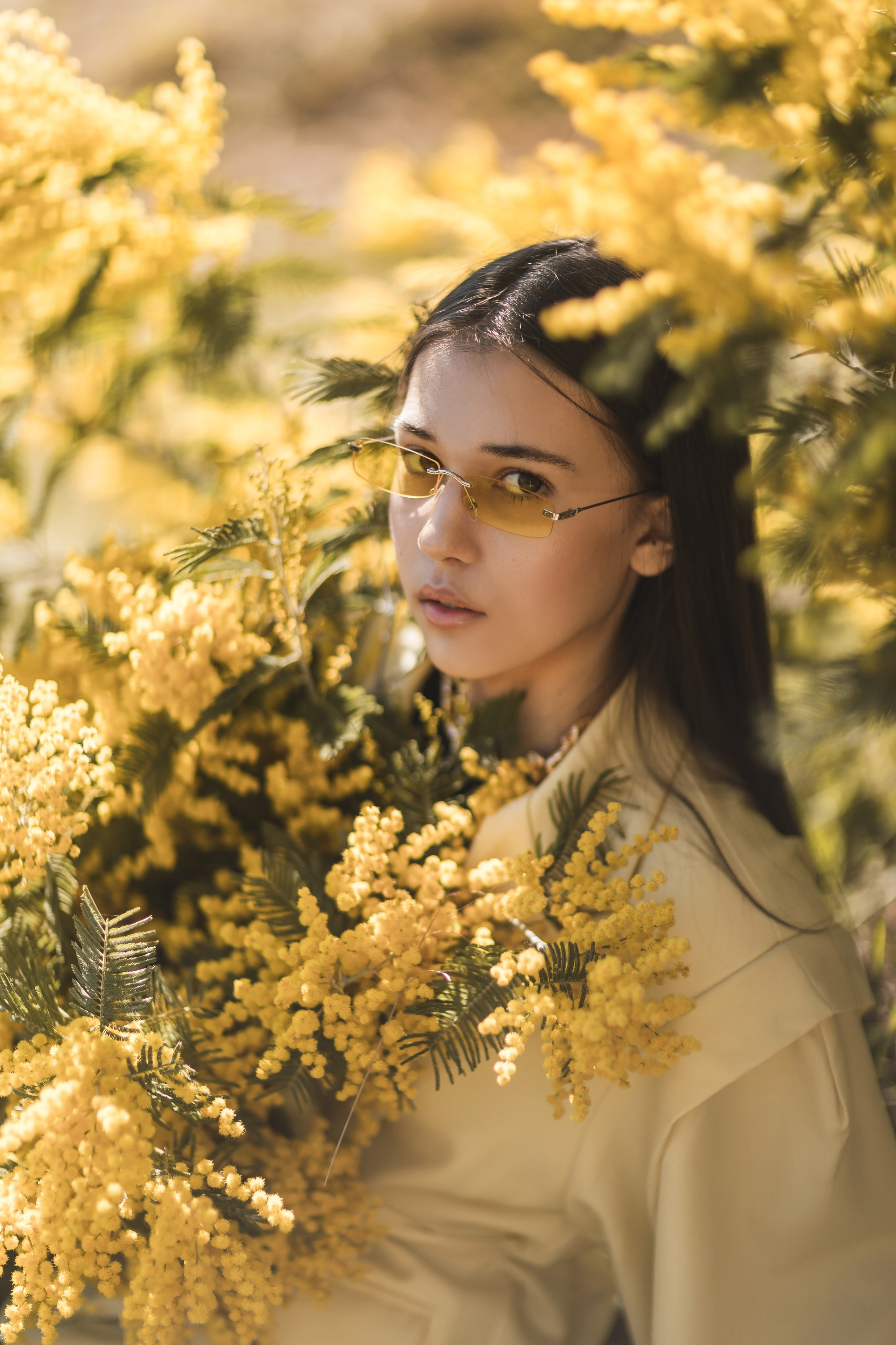 Мимоза. Семейный и детский фотограф Краснодар Валерия Власенко