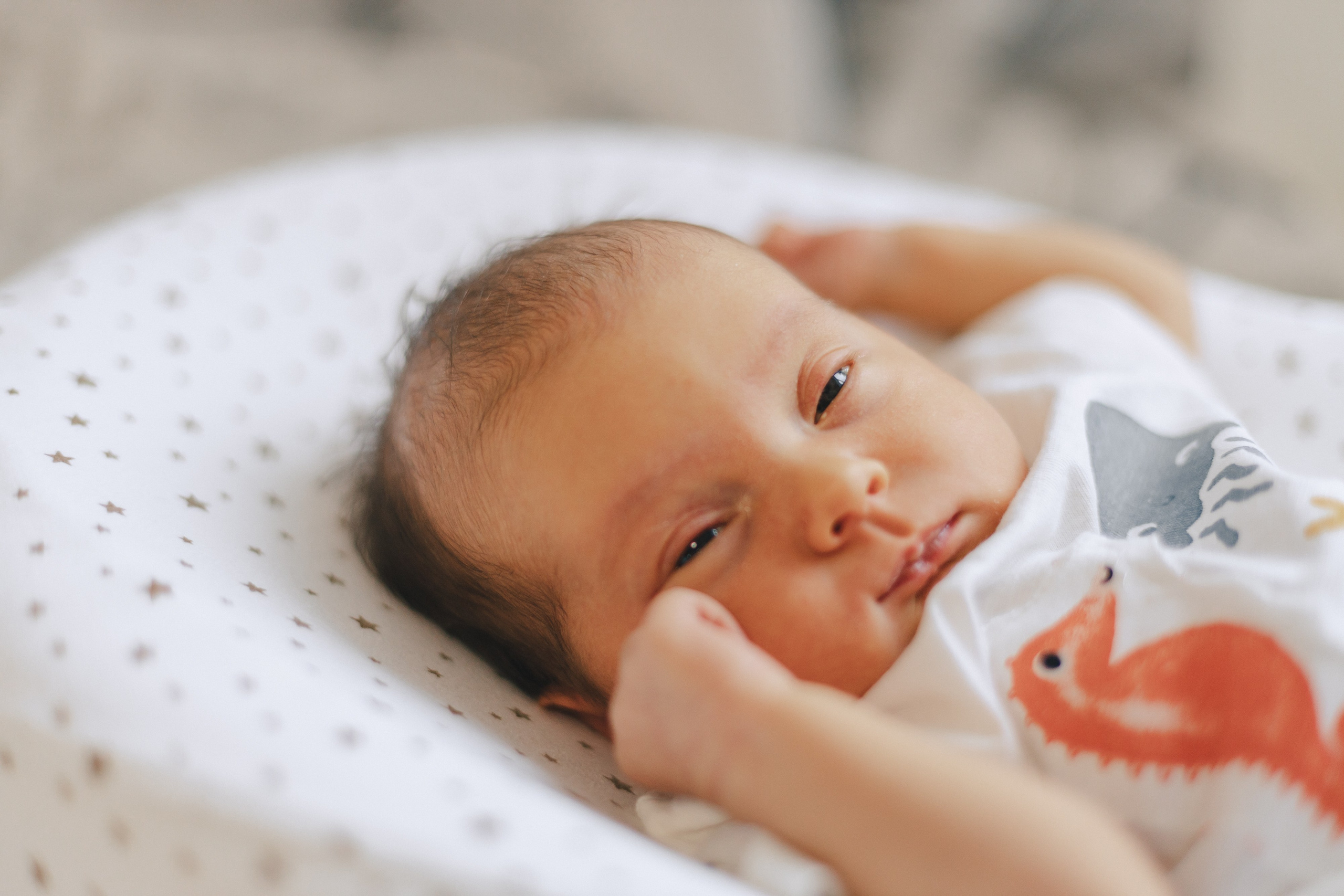 Ира, Леша, Максим и Майя. Фотограф Таганрог Любимая Надя