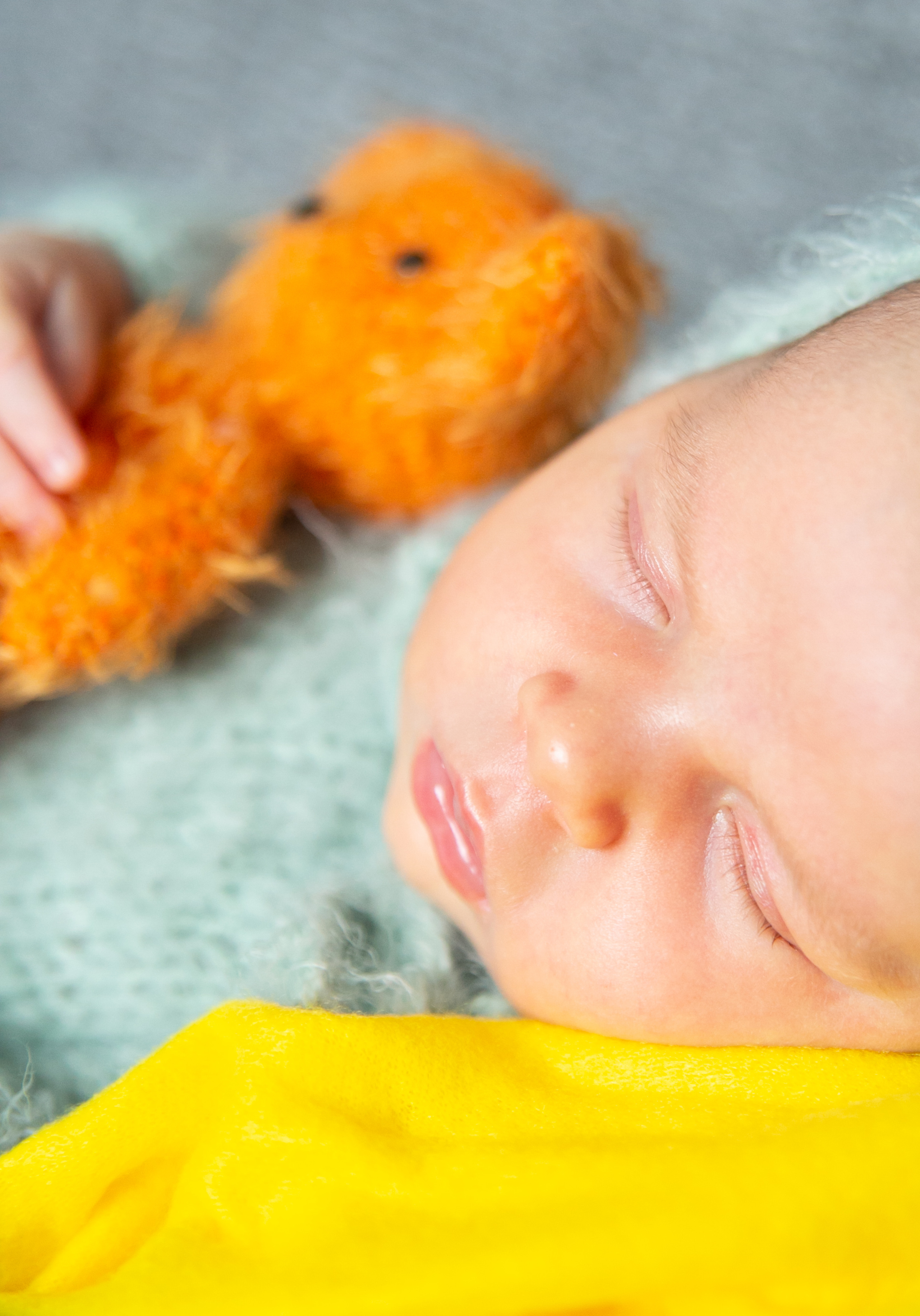 Новорожденные. Фотограф новорожденных и семейный фотограф НСО г. Бердск Марина Львова