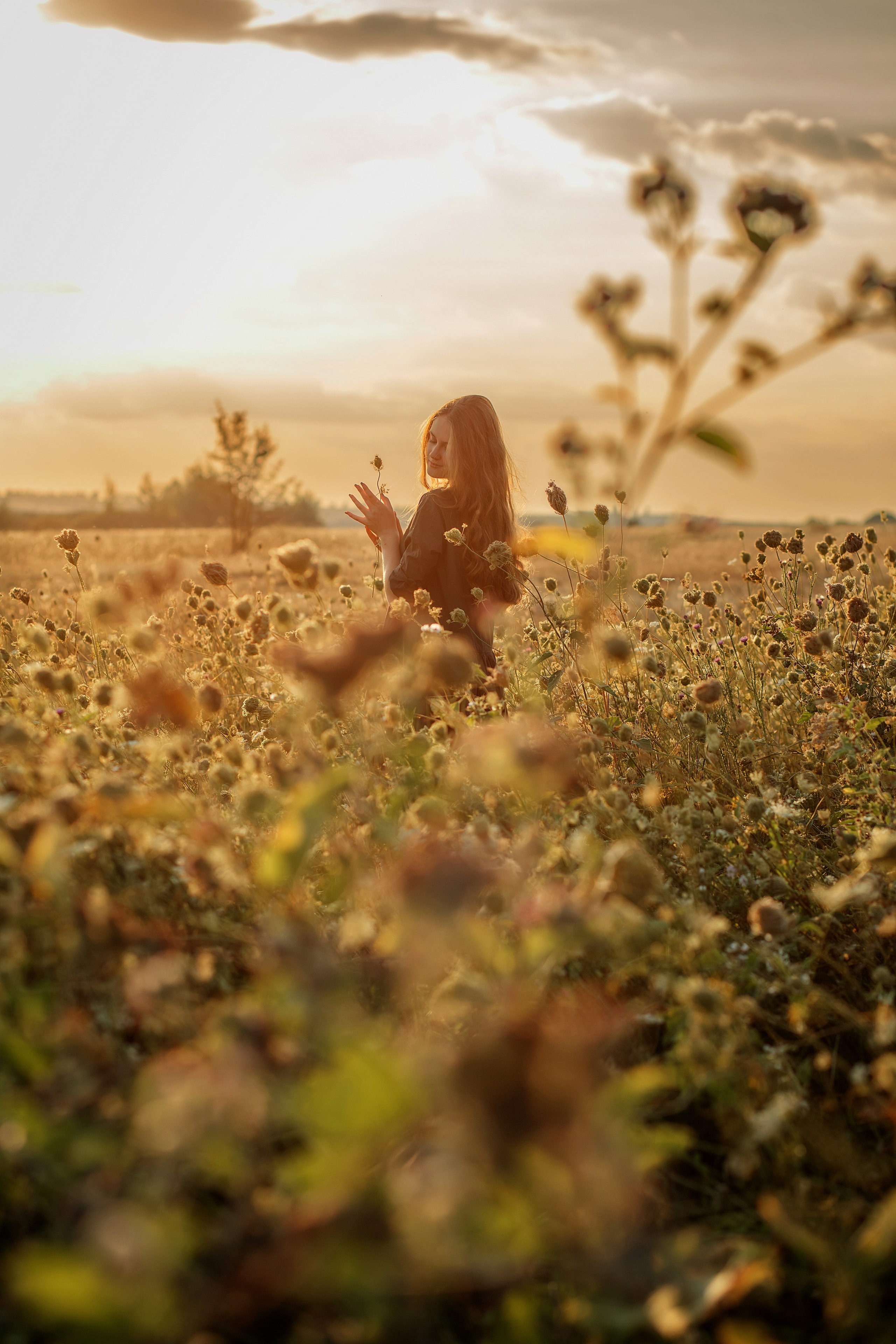 Летние поля. Детский и семейный фотограф в Москве и Моск. области Татьяна Минаева