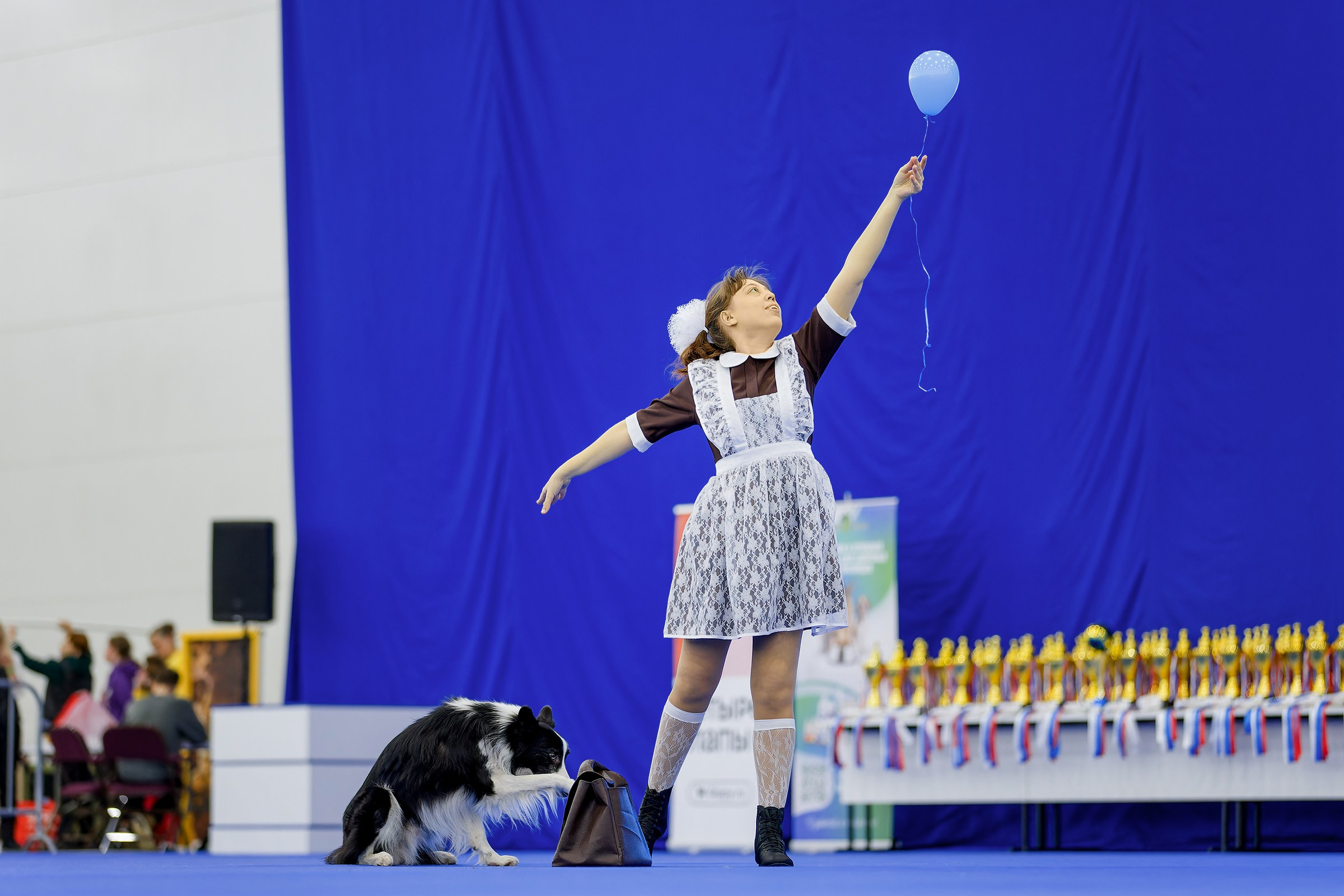 Танцы с собаками. Зоошоу 14.12.2025. Irenephoto.ru