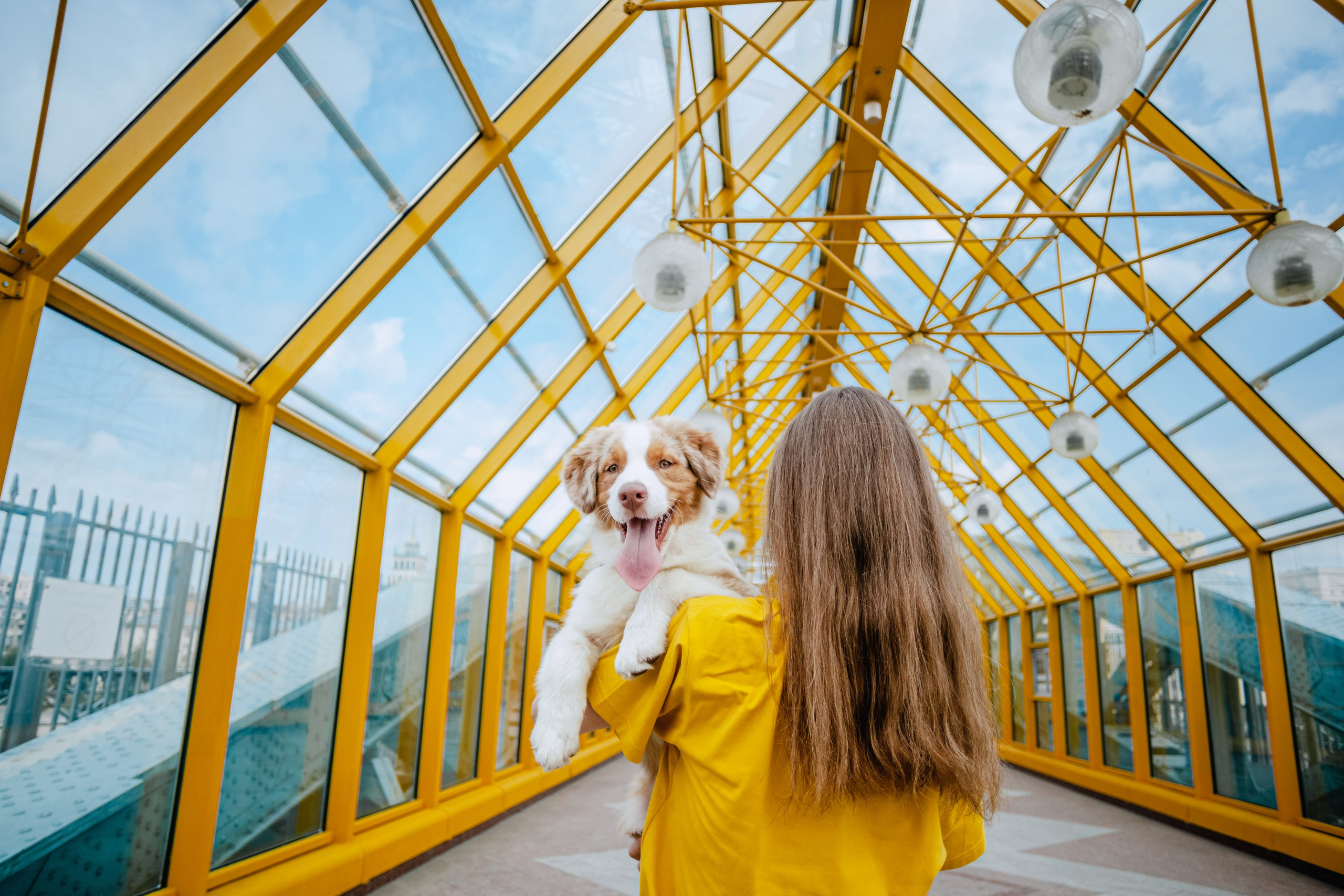 Андреевский мост. Фотограф-анималист Татьяна Степанова