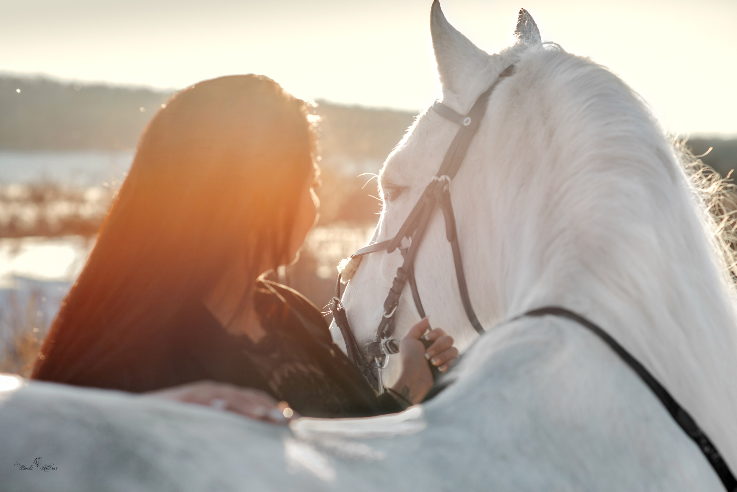 Владлена и Вымпел. Конный фотограф в Саратове Юлия Иванова