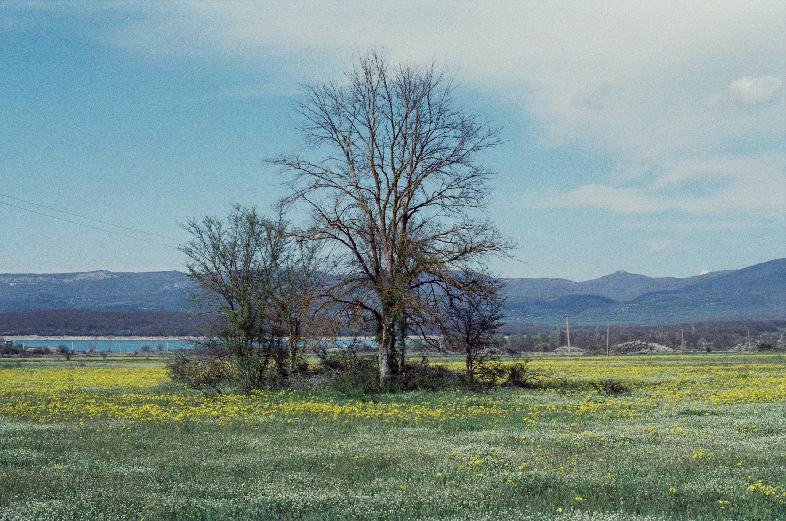 Some kind of madness // ukraine, crimea III. EVER EXPOSED