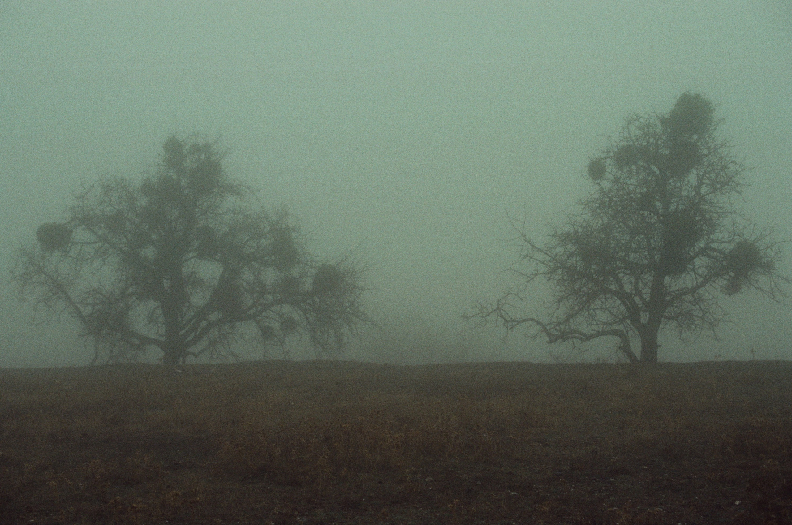 I o u // ukraine, crimea. EVER EXPOSED