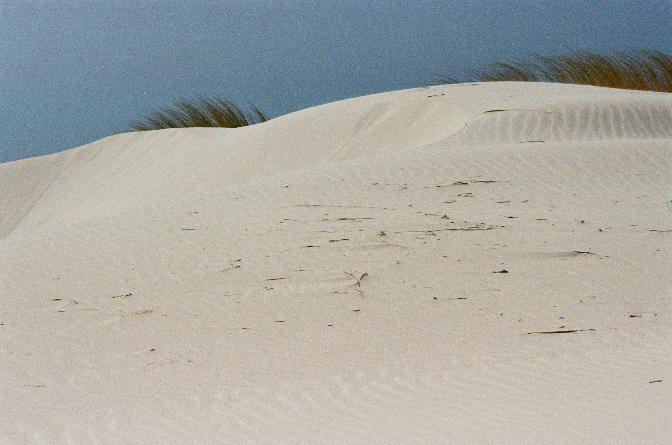 Coraline // sardinia, is arenas biancas II. EVER EXPOSED