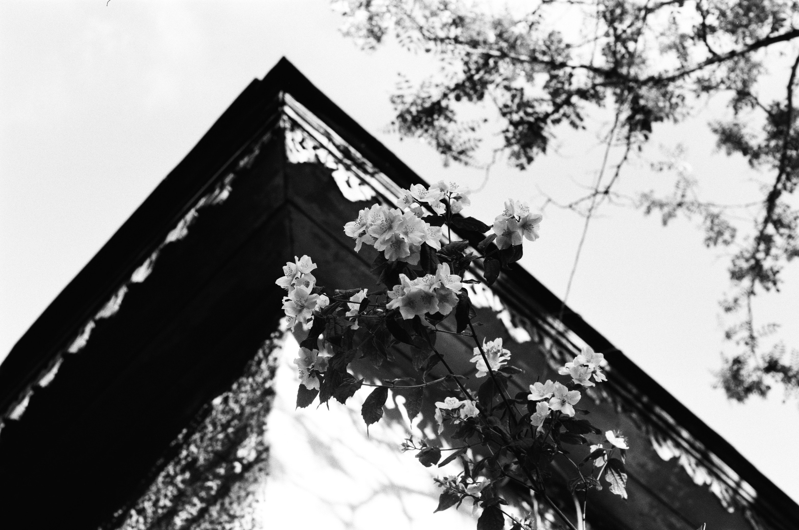 Sparks // ukraine, crimea. EVER EXPOSED