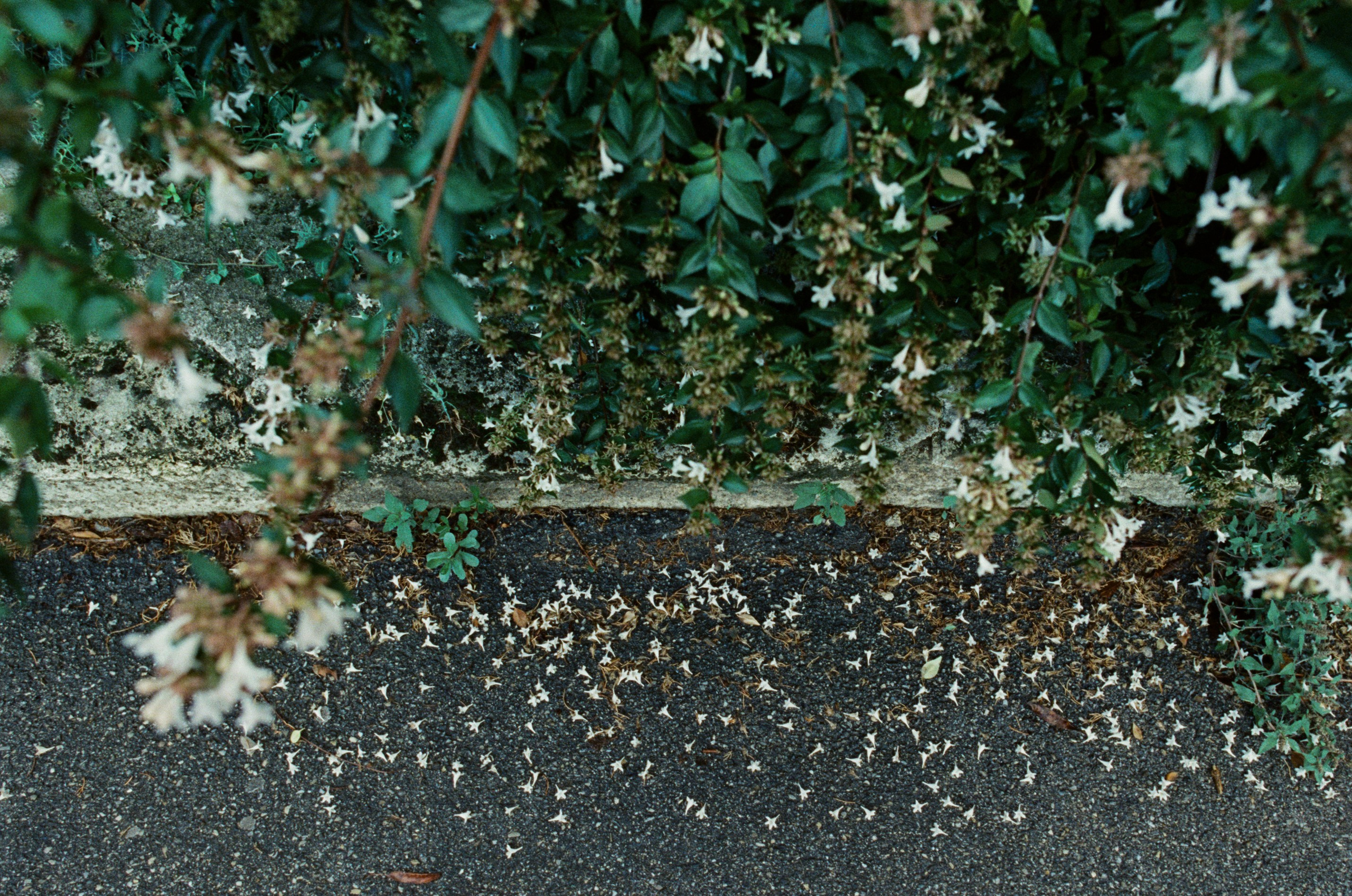 The contract // france, avignon. EVER EXPOSED