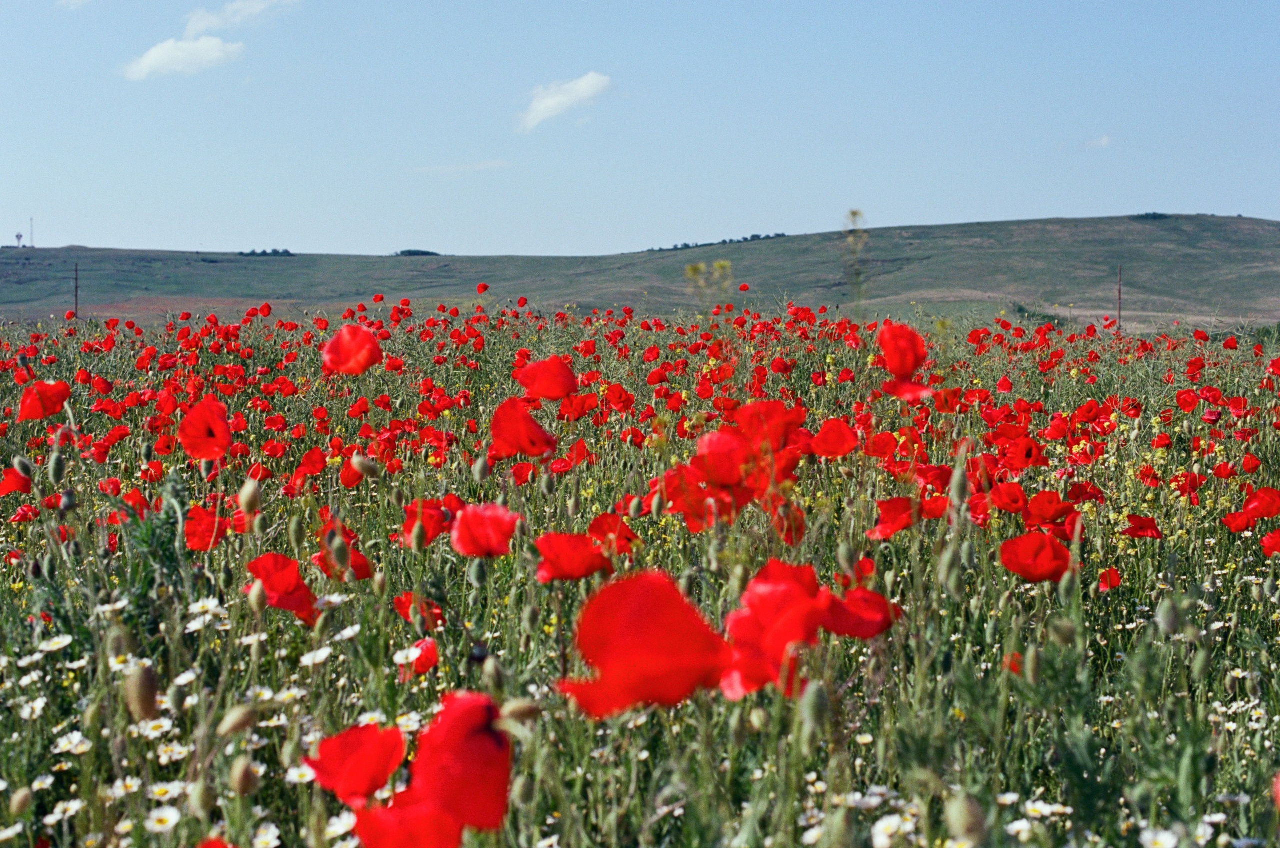 The drugs don't work // ukraine, crimea IV. EVER EXPOSED