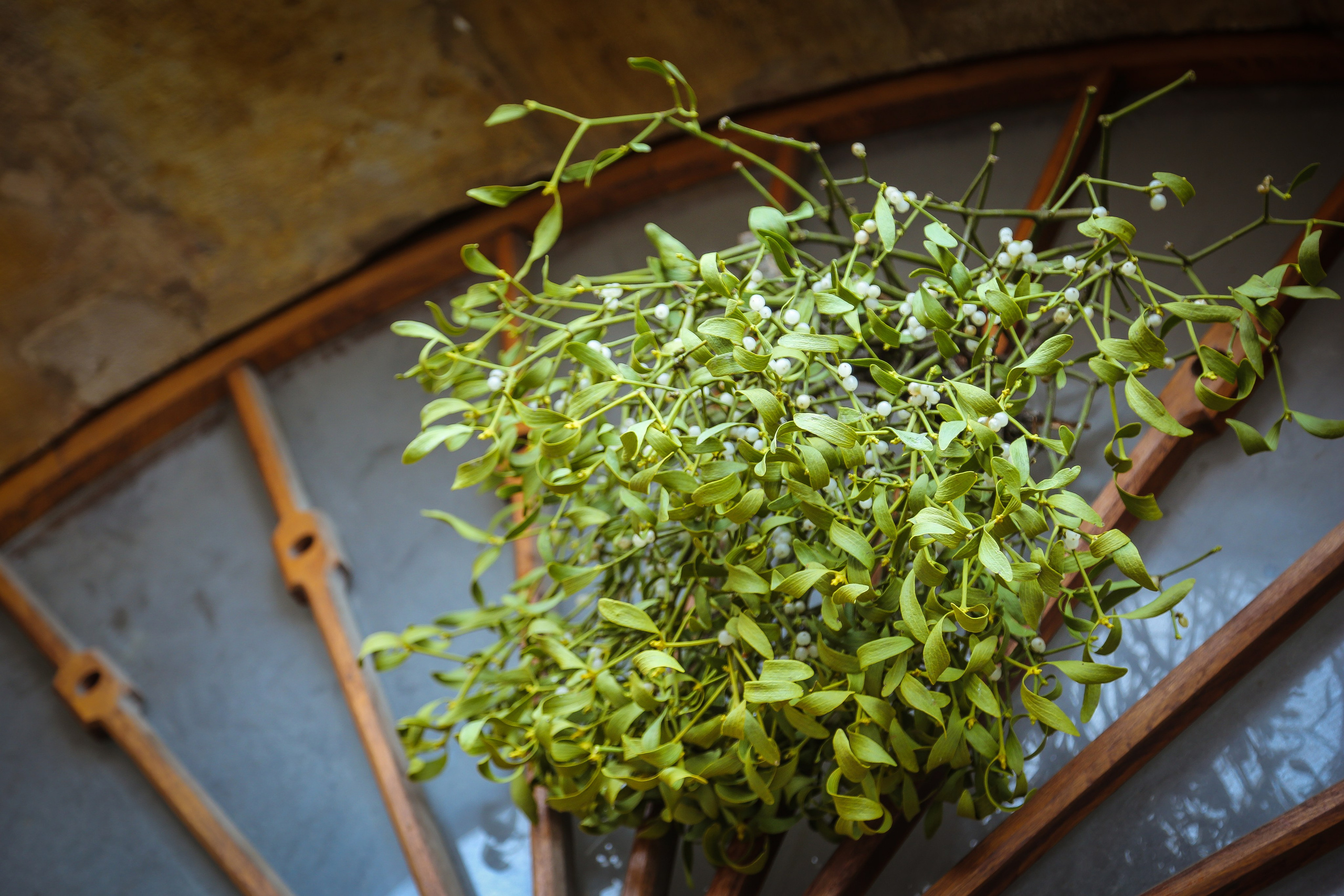 Чехия: Прага. Дарья Письменюк / Darya Leitstern — фотограф, музыкант, журналист, путешественник