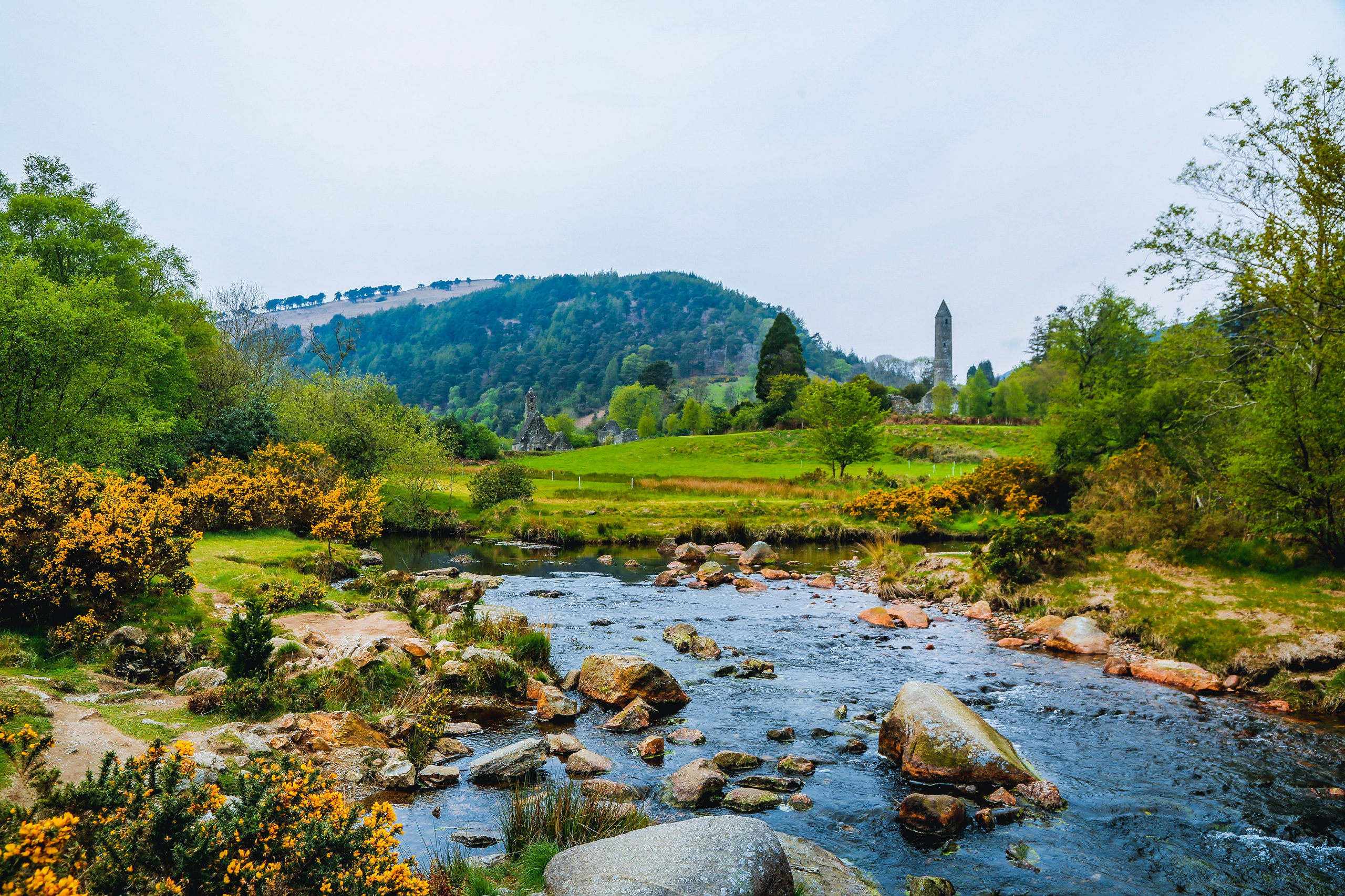 Ирландия: Горы Уиклоу. Дарья Письменюк / Darya Leitstern — фотограф, музыкант, журналист, путешественник