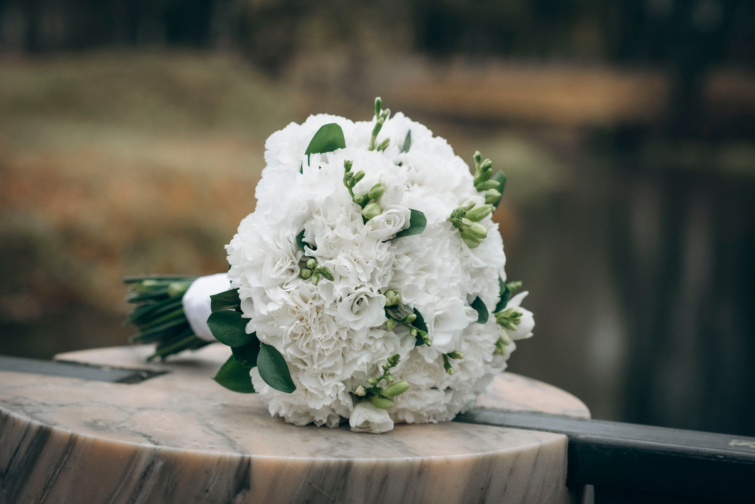 Иван & Алиса