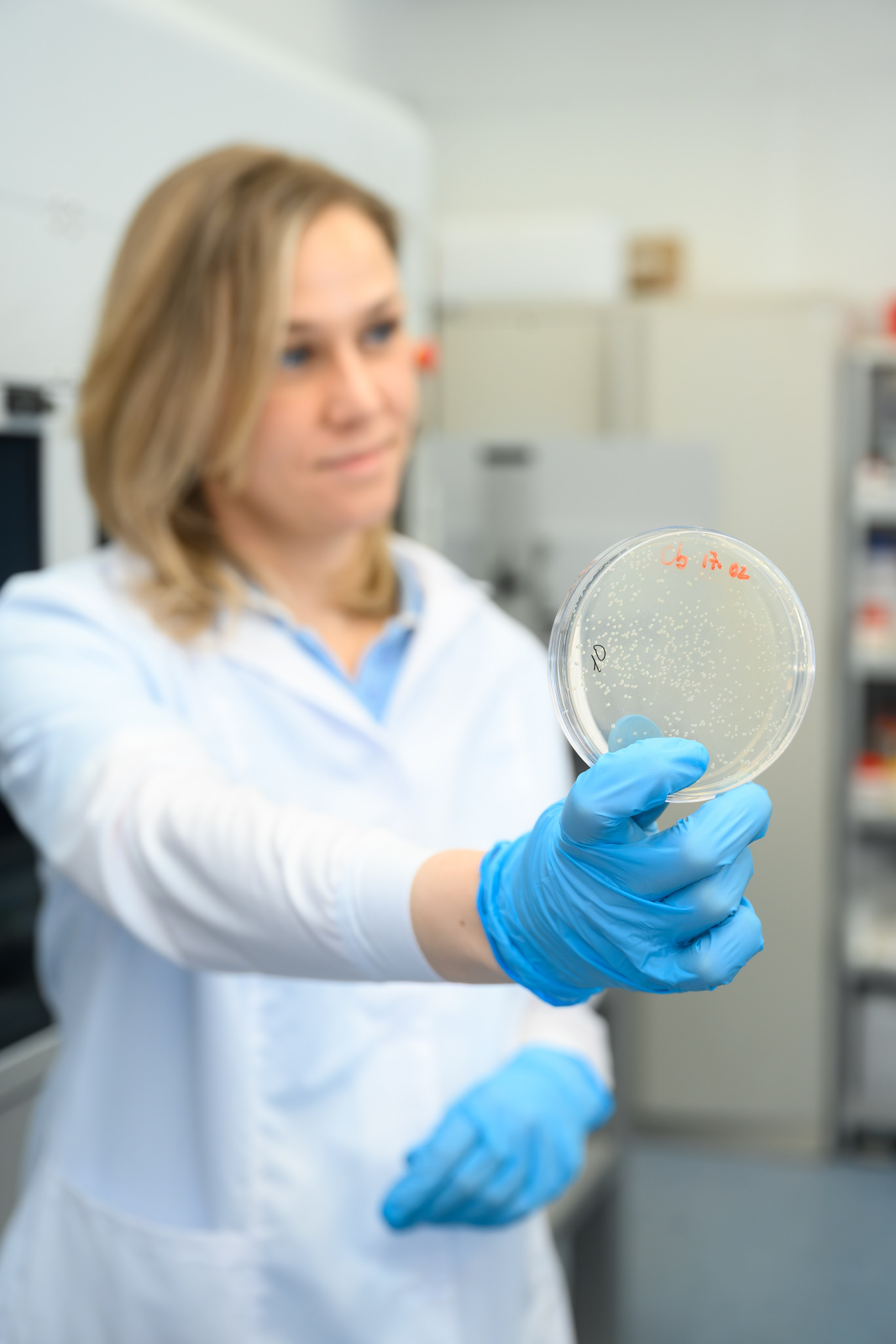 Лаборатории. Арефьева Наталья фотограф в Москве. Студийный фотограф, деловой портрет, репортаж