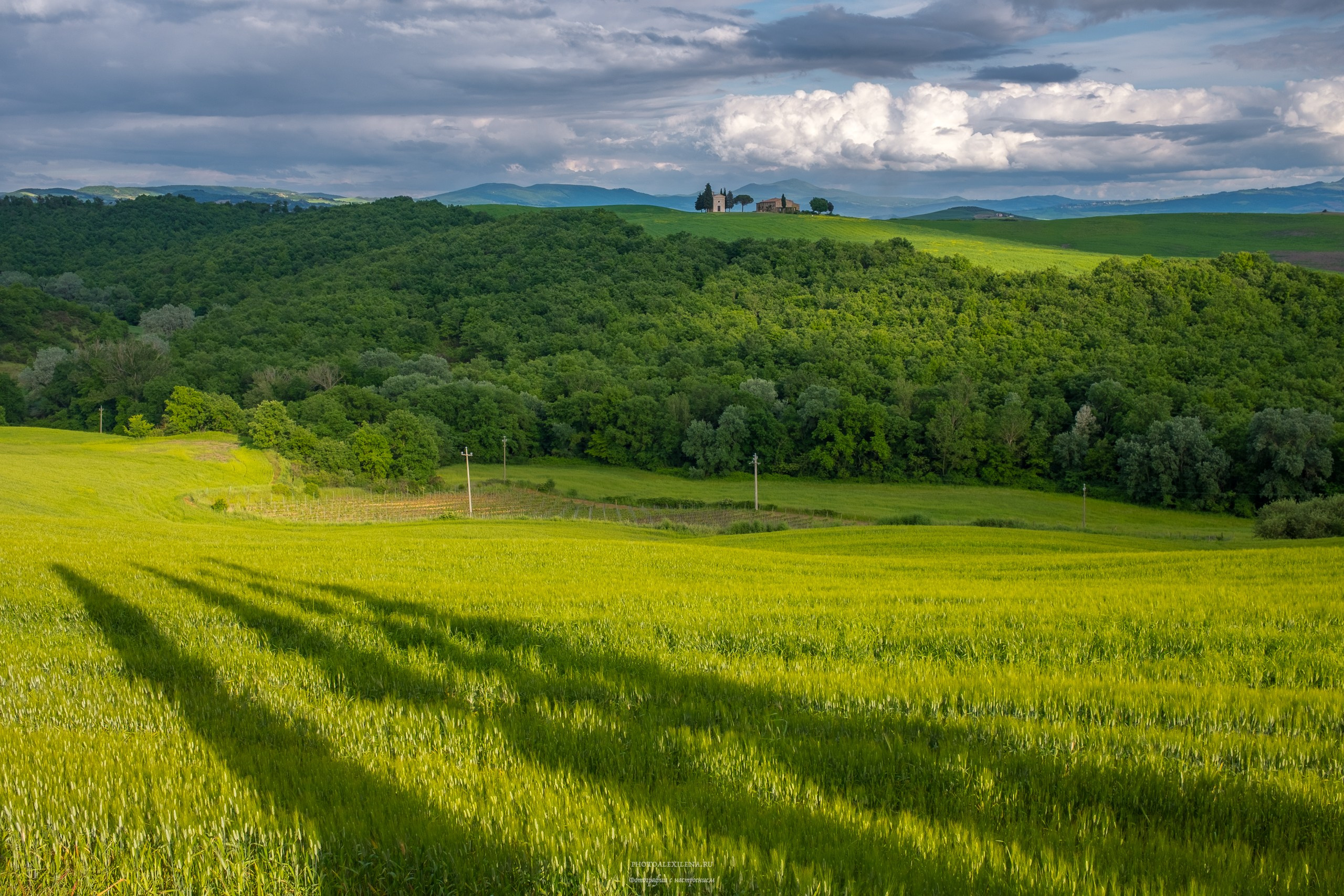 Великолепная Тоскана. Авторские стильные фотокартины
