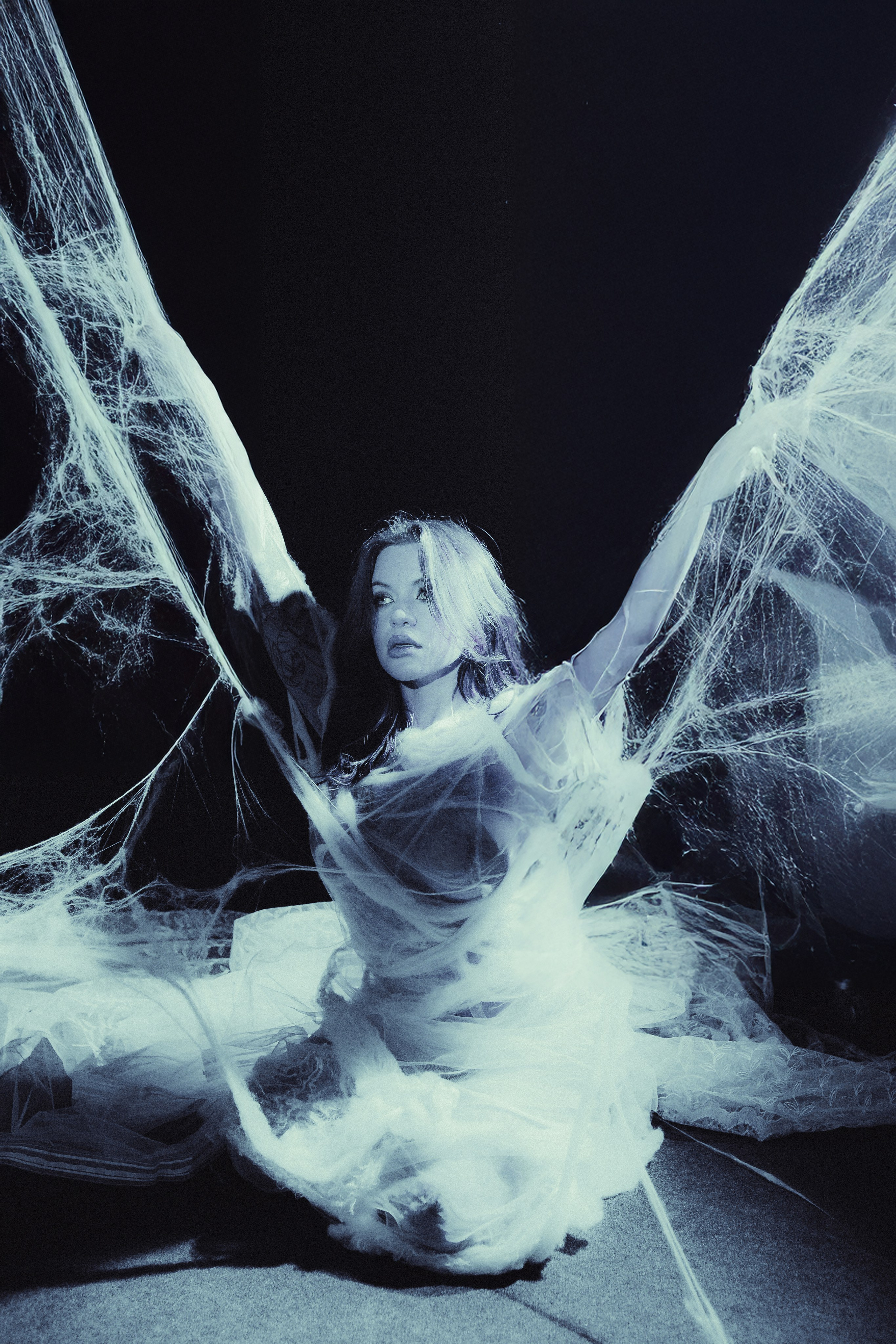 Diibae spider. Фотограф из Санкт-Петербурга Валерия Ленских