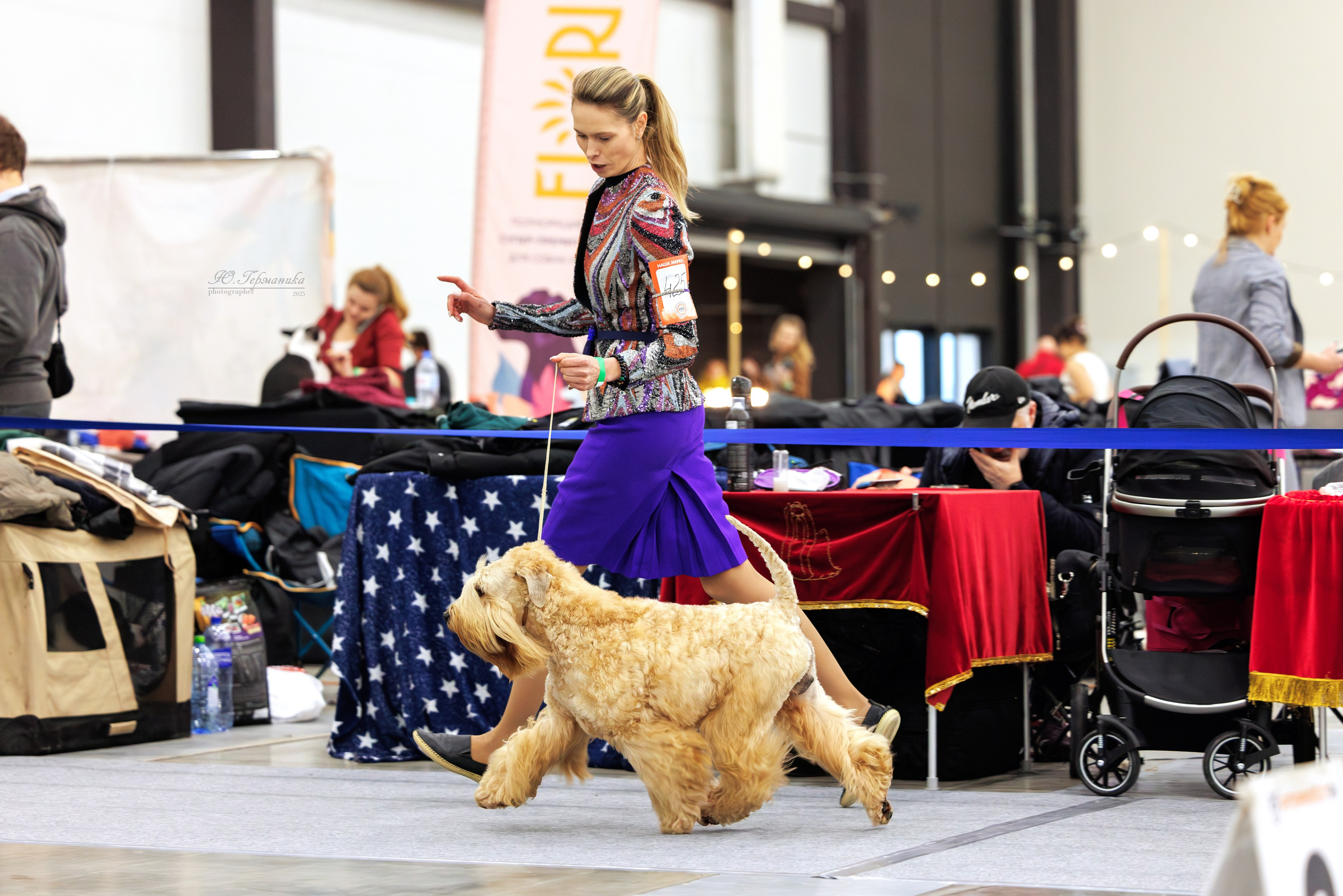 Питер 12-13.12.2025. Фотограф-анималист Юлия Германика