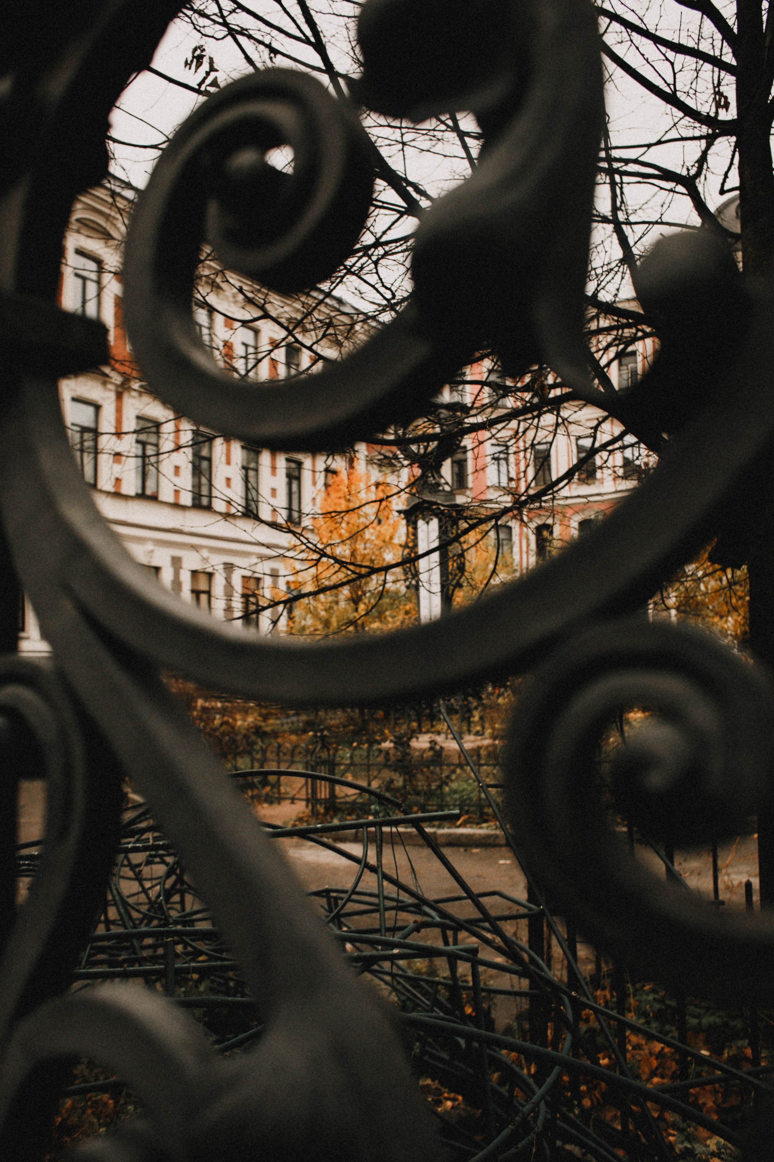 Питер / 24. Фотограф в Нижнем Новгороде