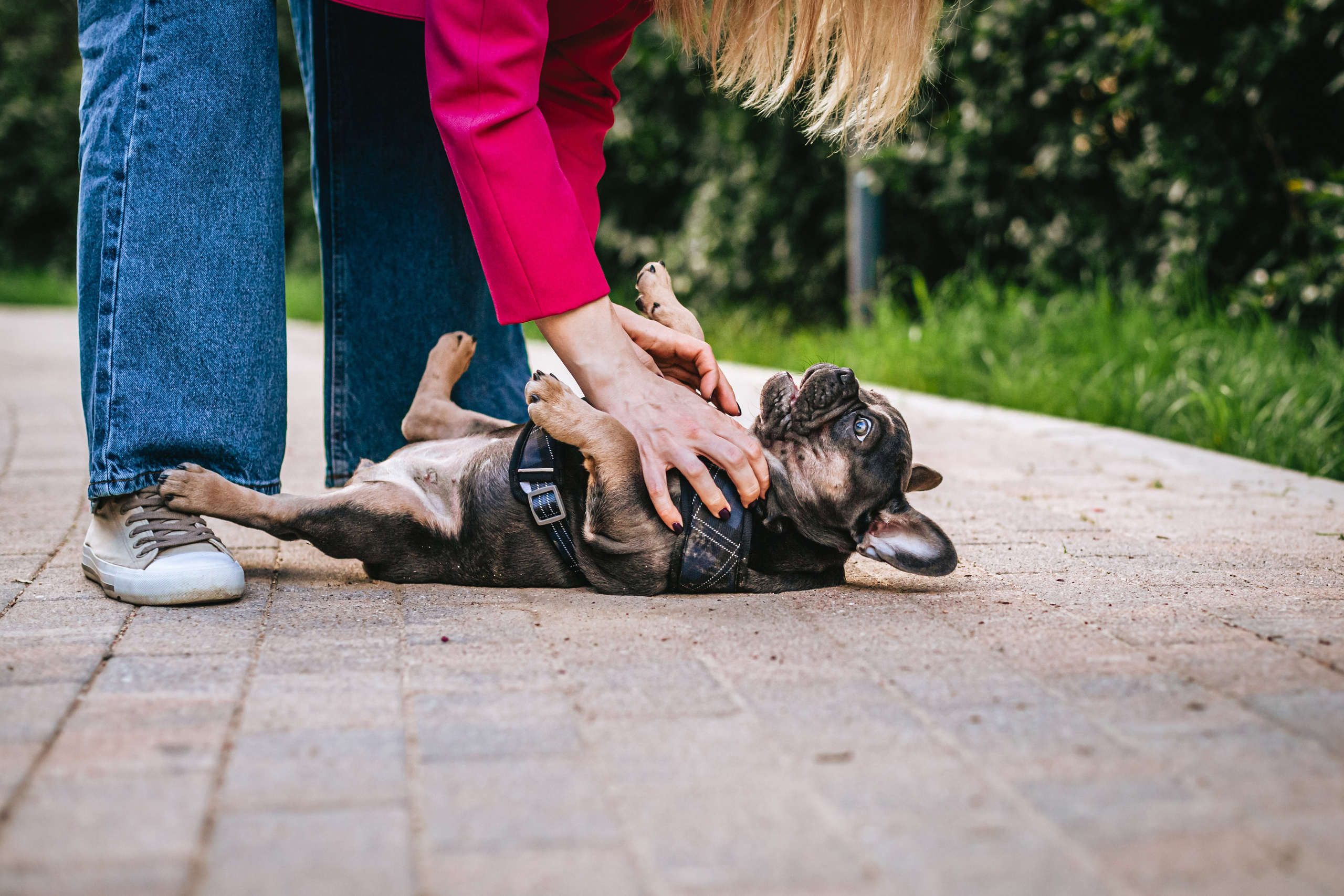 Даша и Мишель. Фотограф-анималист Татьяна Степанова
