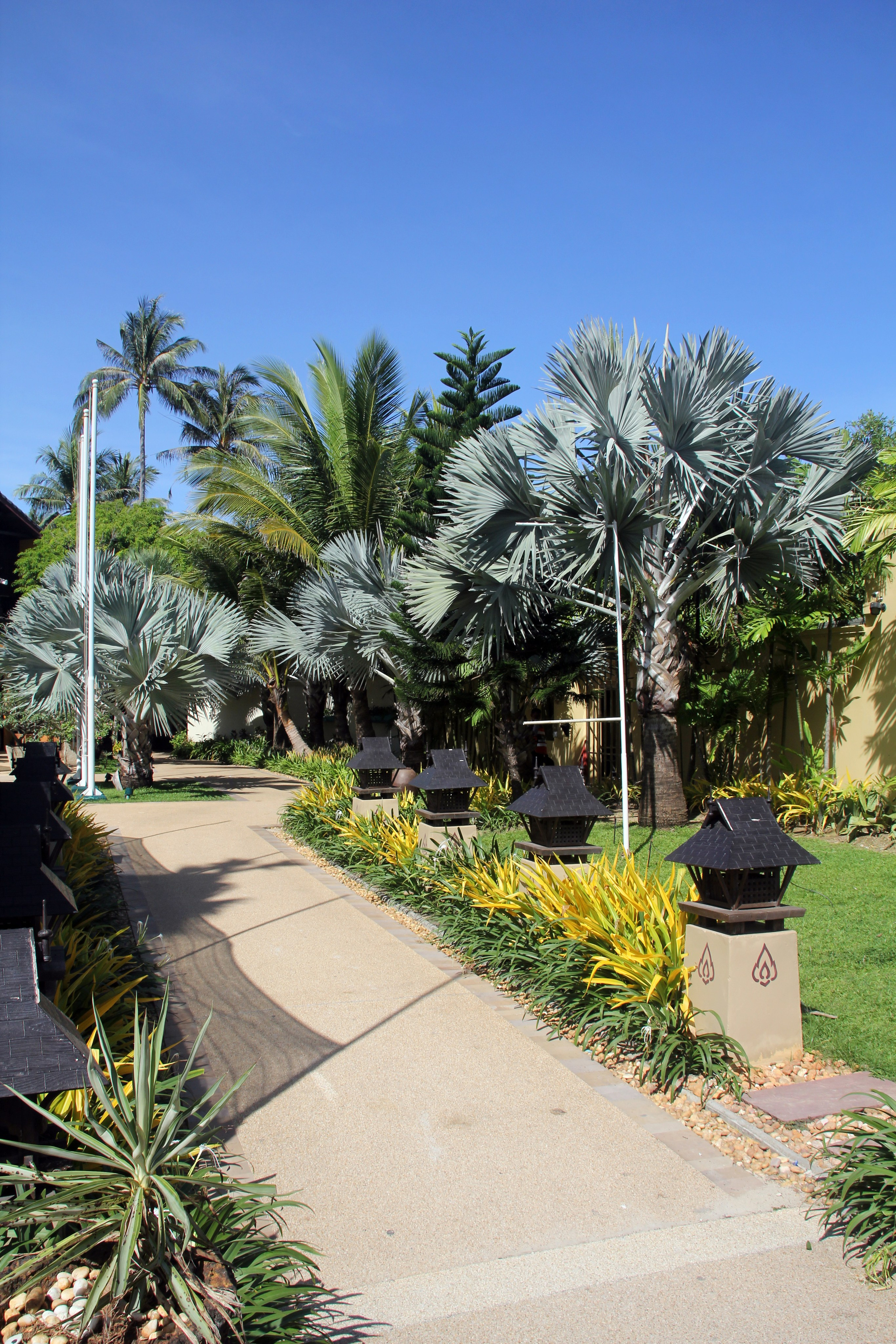 Пхукет. Фотограф Алексей Федорищев