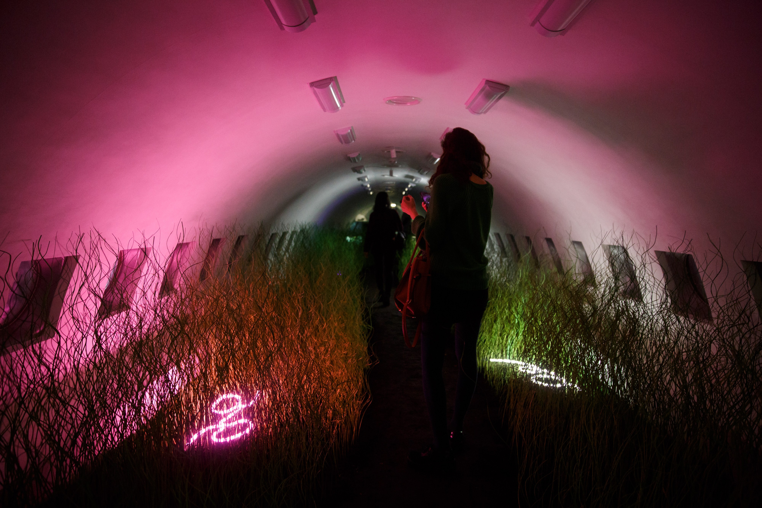 76. Фотограф Недорез Александр в Москве. Репортаж на ваших мероприятиях