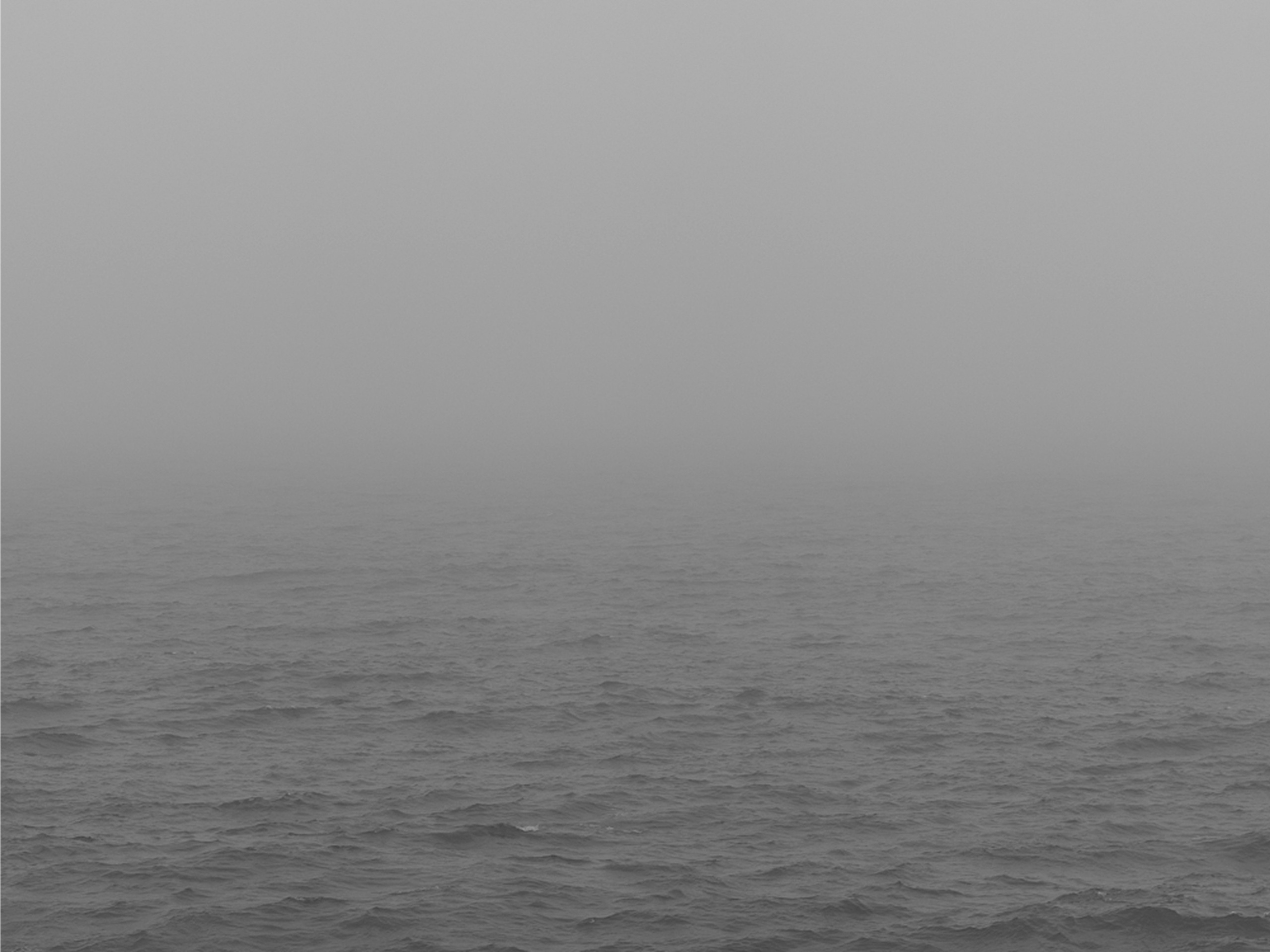 The veil. Ula Aldokhina