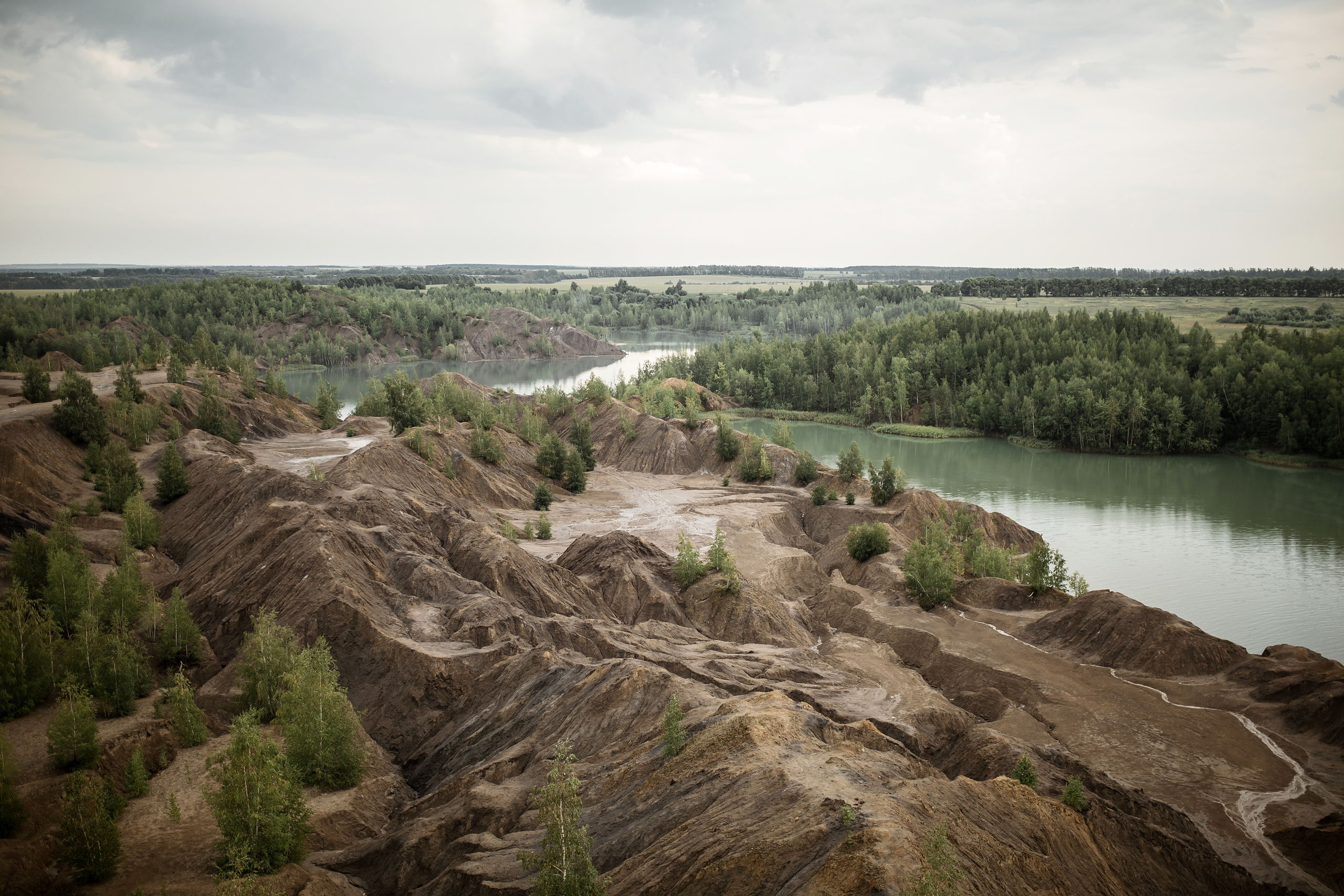 Антон + Татьяна. Свадебный фотограф Колесников Антон