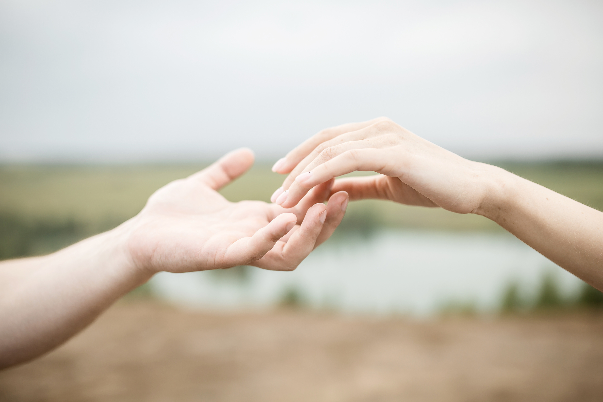 Антон + Татьяна. Свадебный фотограф Колесников Антон
