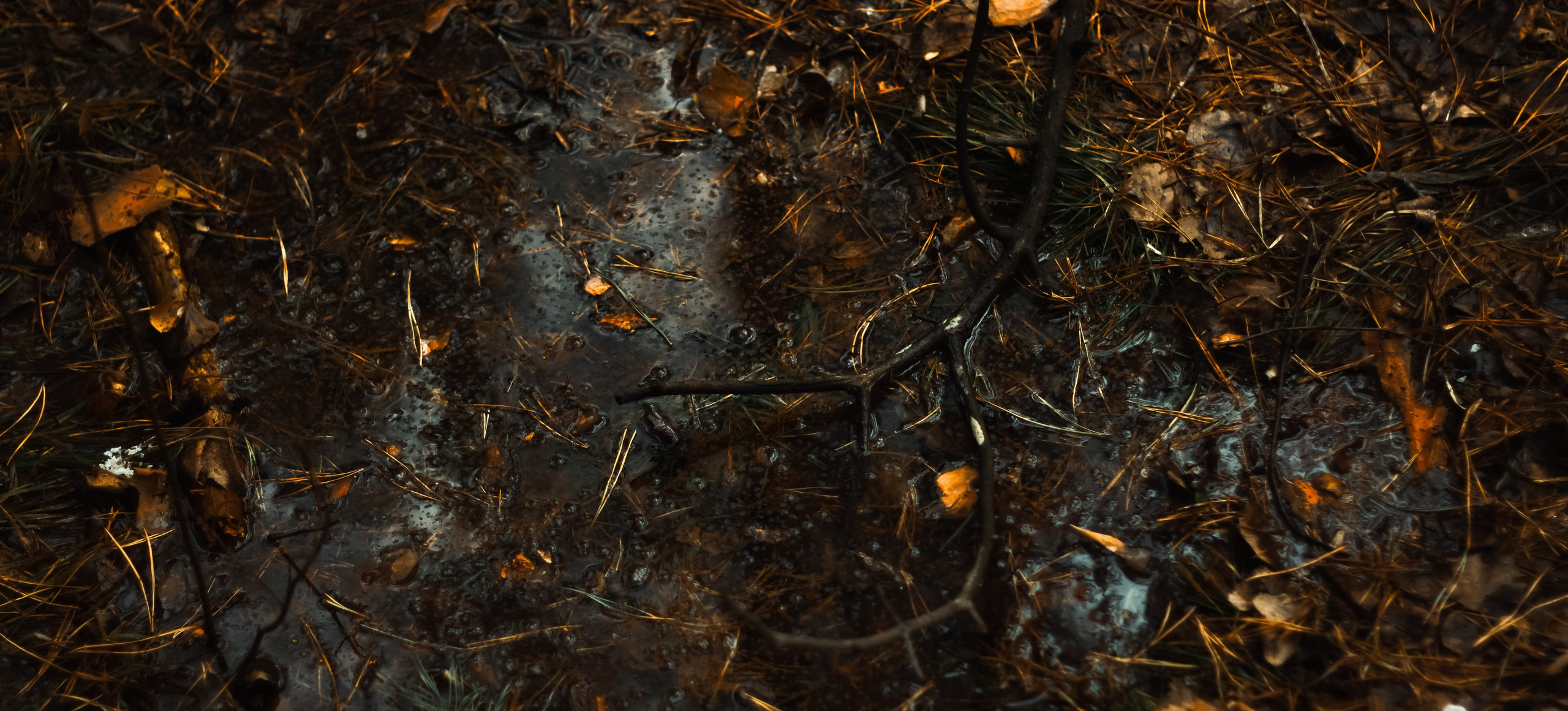 21.03.2025 | Сосновоборск. Kuznetsov | Фотограф в Красноярске