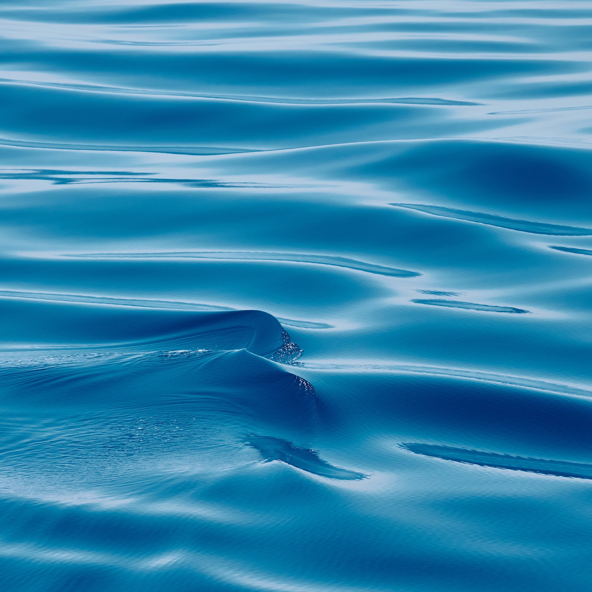 Вода. Яркие фото на Чёрном море