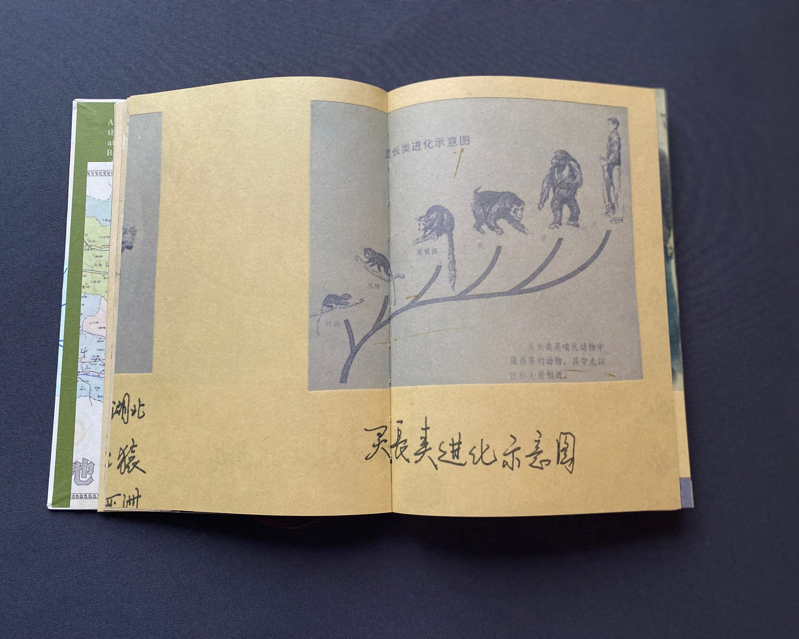 Фотокнижная библиотека Кристины Шкилевой. Фотограф и исследователь фотографии из Санкт-Петербурга Елизавета Веприцкая