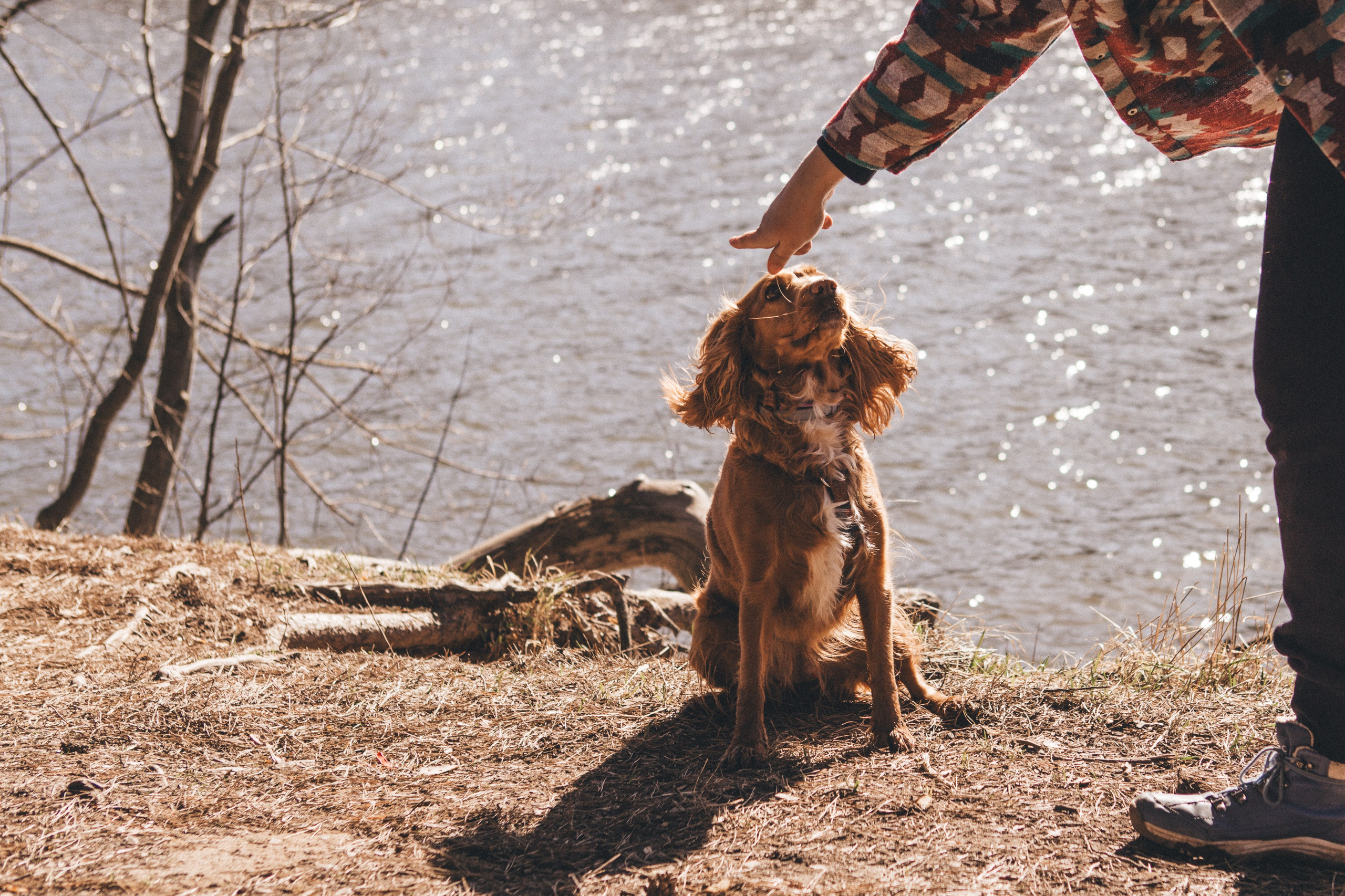 Julia & Jessie. Portrait, family and pet photographer in Cyprus, Ksenia Bourdelle