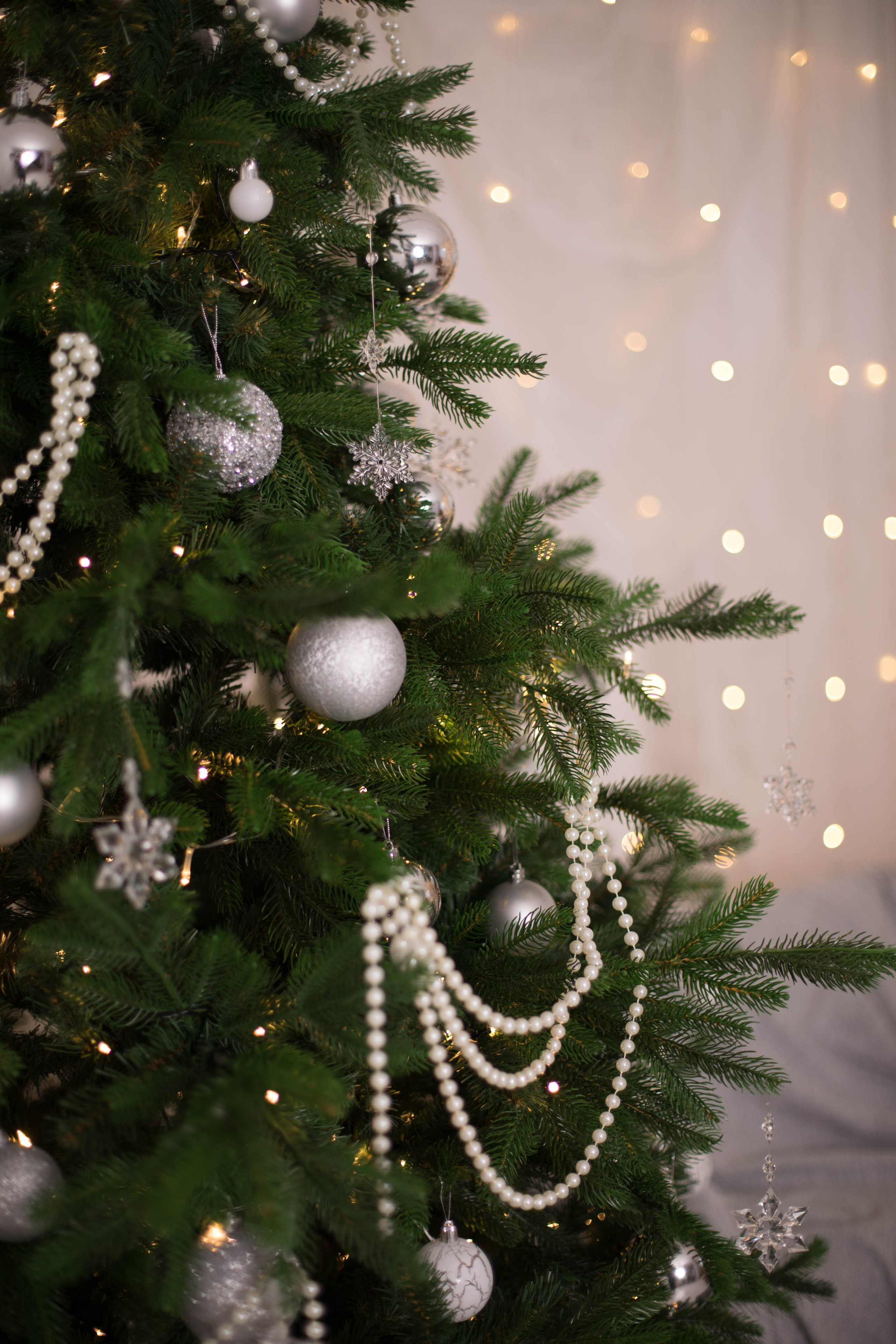 Рока (Roka). Фотограф г. Хабаровск. Семейные и индивидуальные съёмки