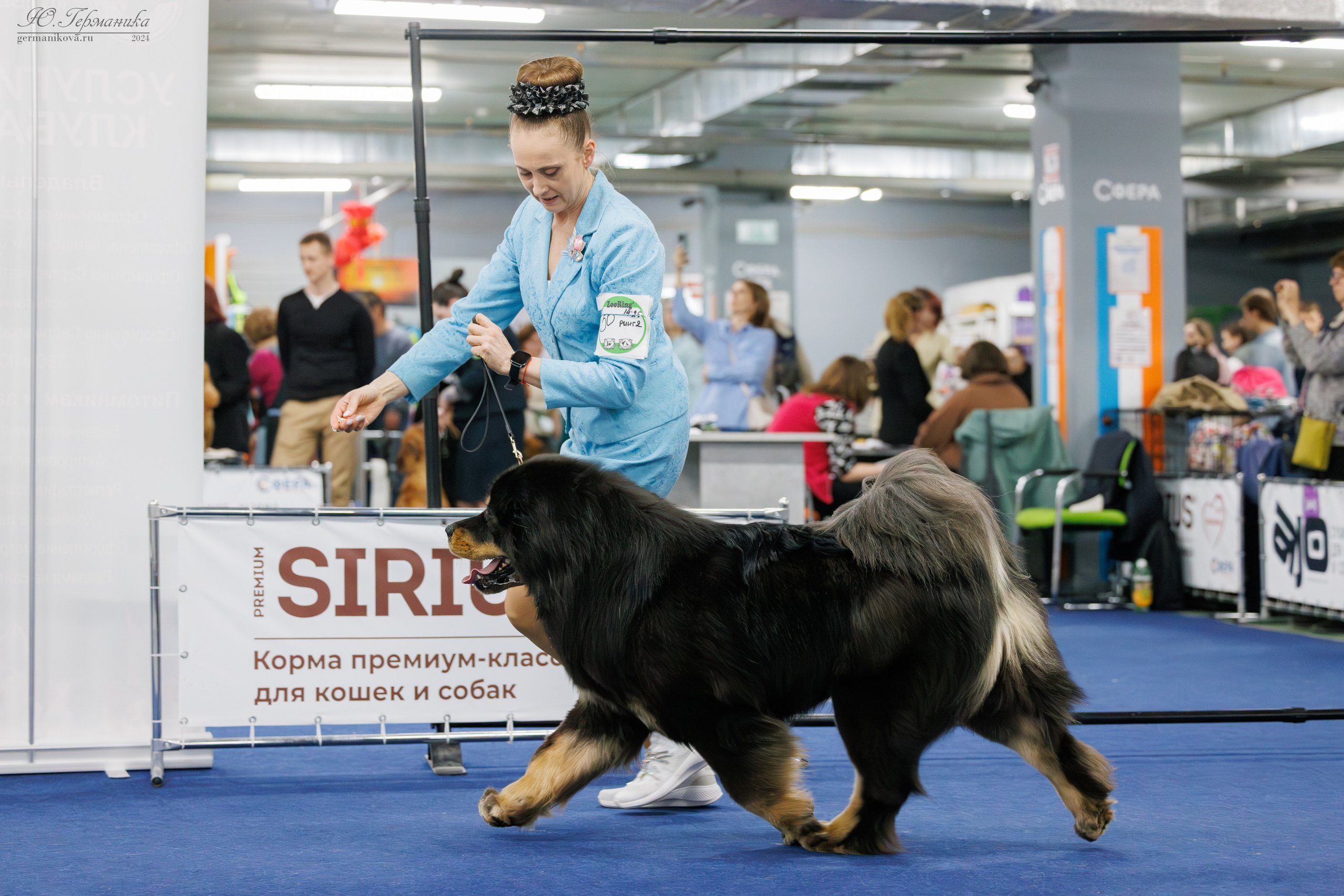 Сфера и Крокус 8,9,16 и 30.03.2025. Фотограф-анималист Юлия Германика