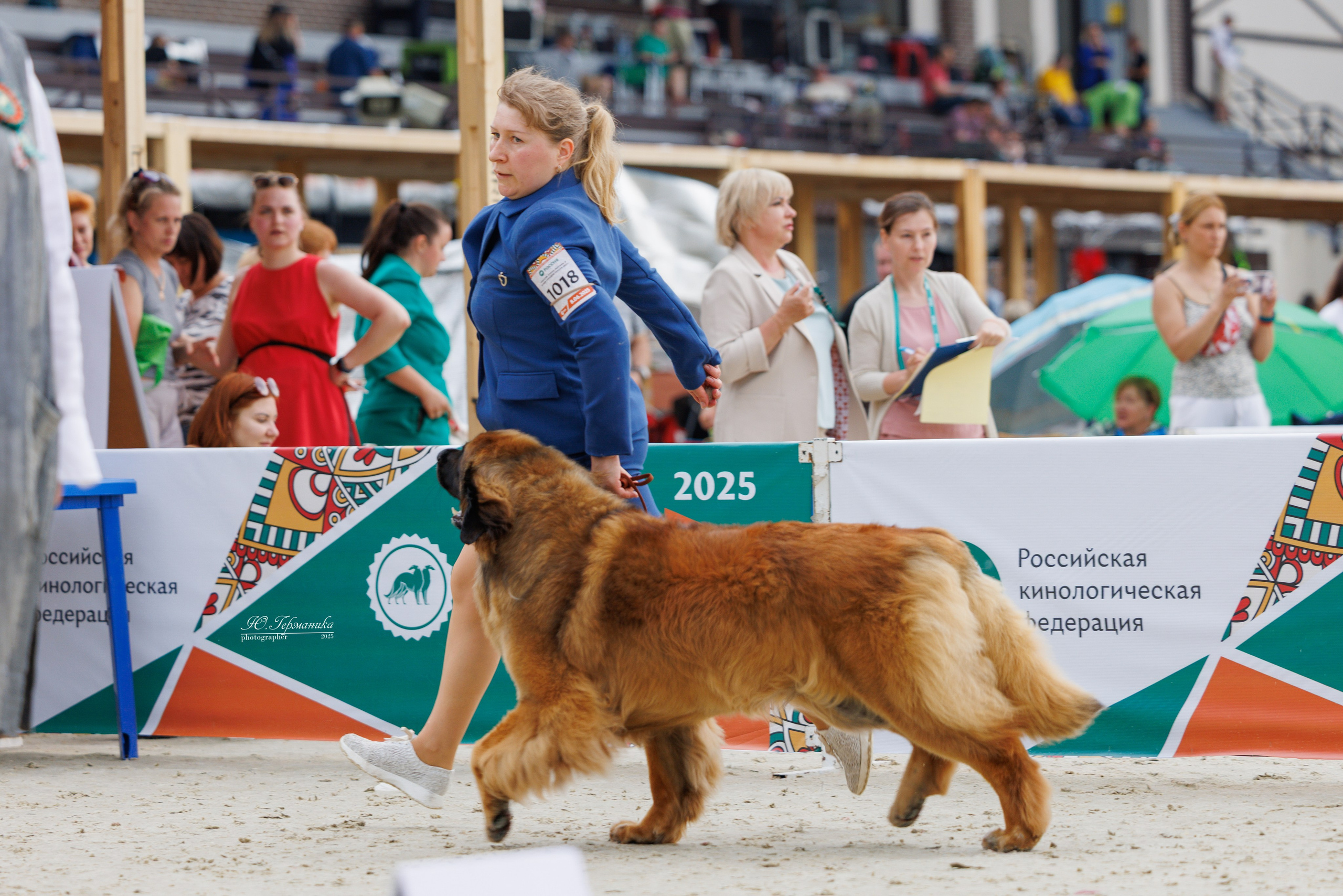 РОССИЯ 7-8.06.2025. Фотограф-анималист Юлия Германика