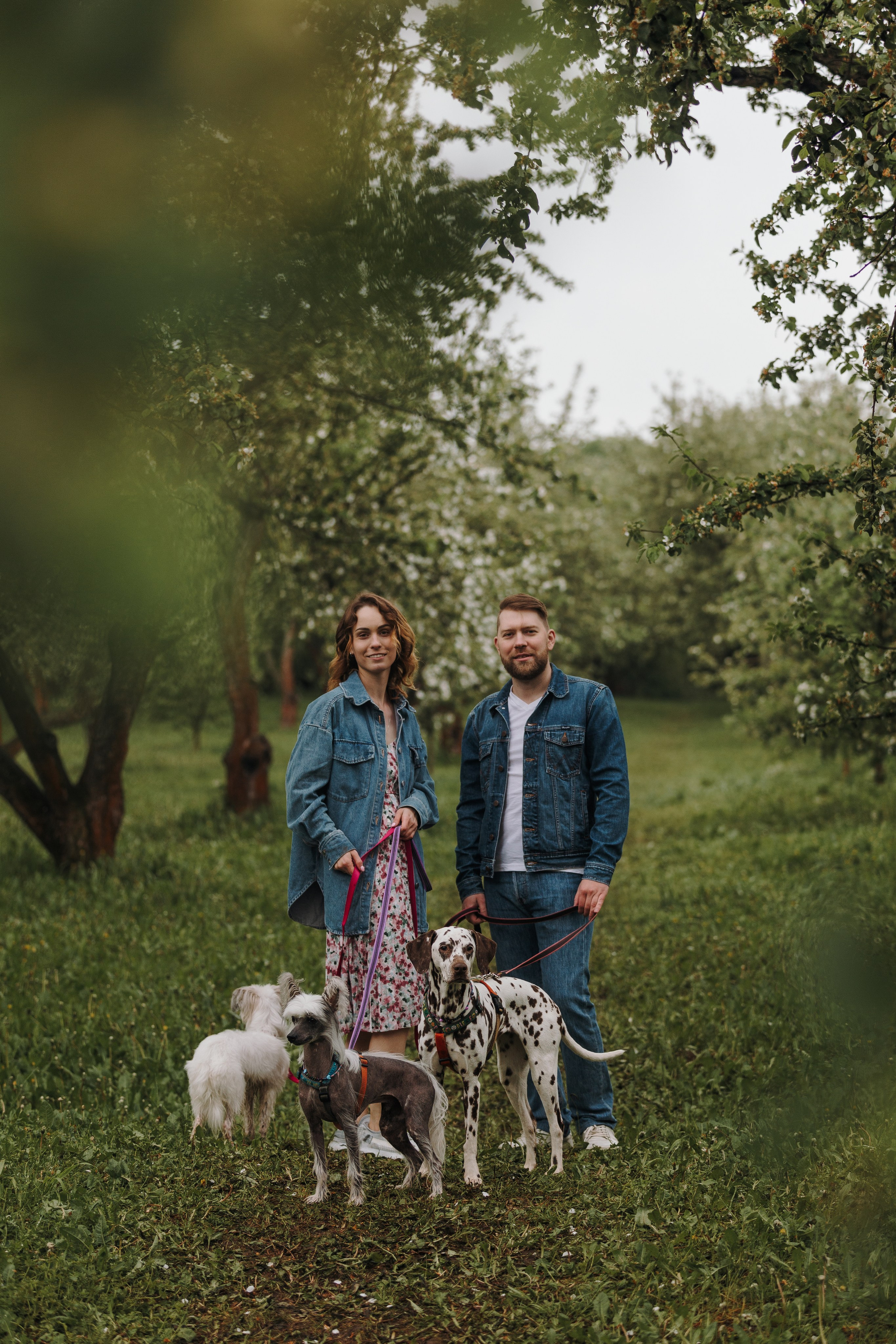 Лили, Уся, Вика и их семья. Фотограф анималист Кристина Карпова, Москва