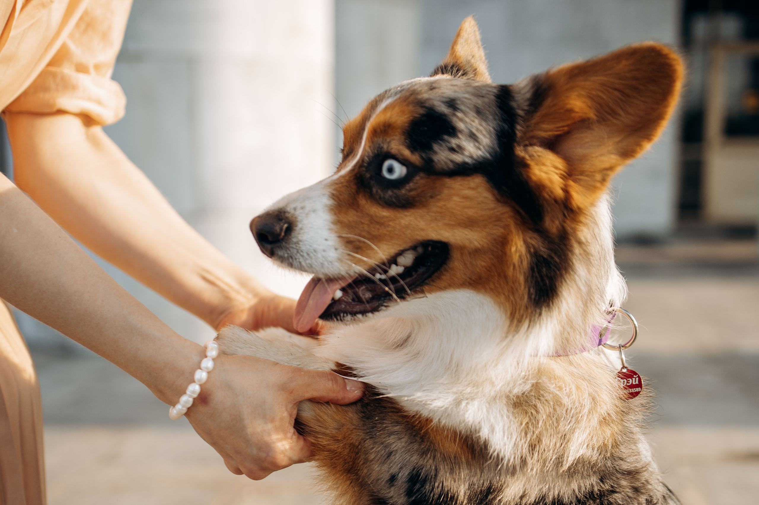 Евгения и Грей