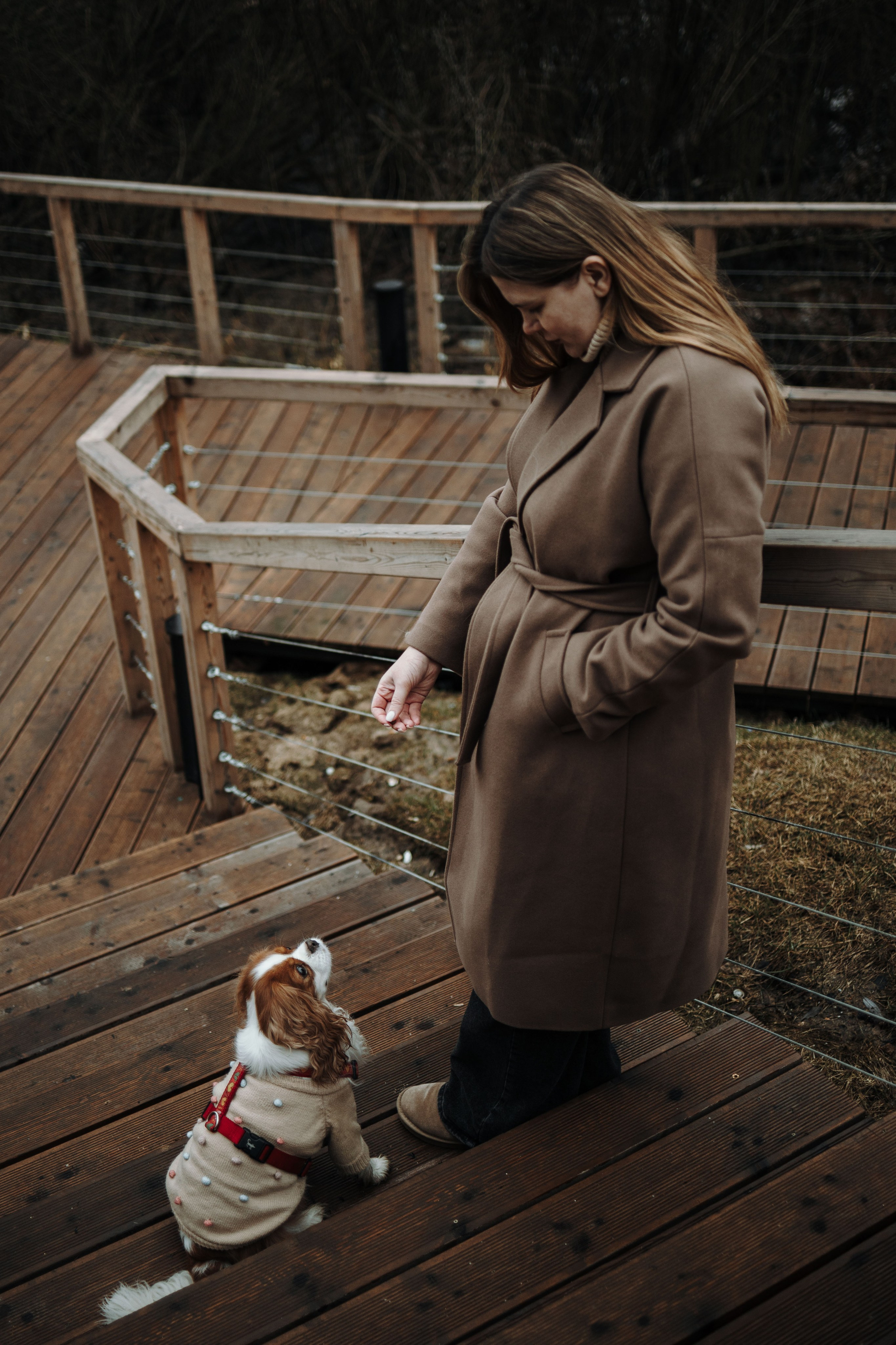 Любовь и Альтаир