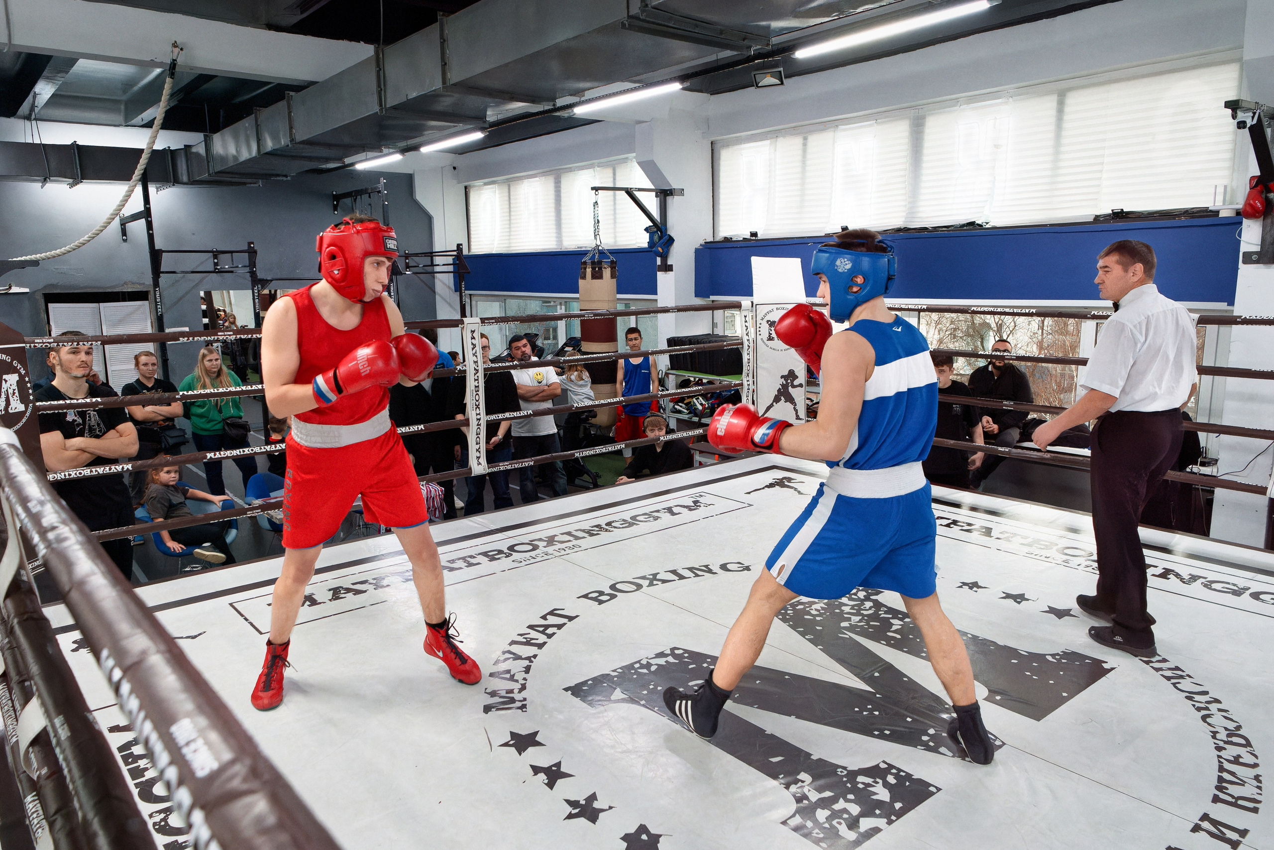 «Открытый ринг» в школе бокса Сергея Майфата. Зеленоград, 12.11.2023 г. Фотограф Никифоров-Гордеев Сергей. Москва и МО